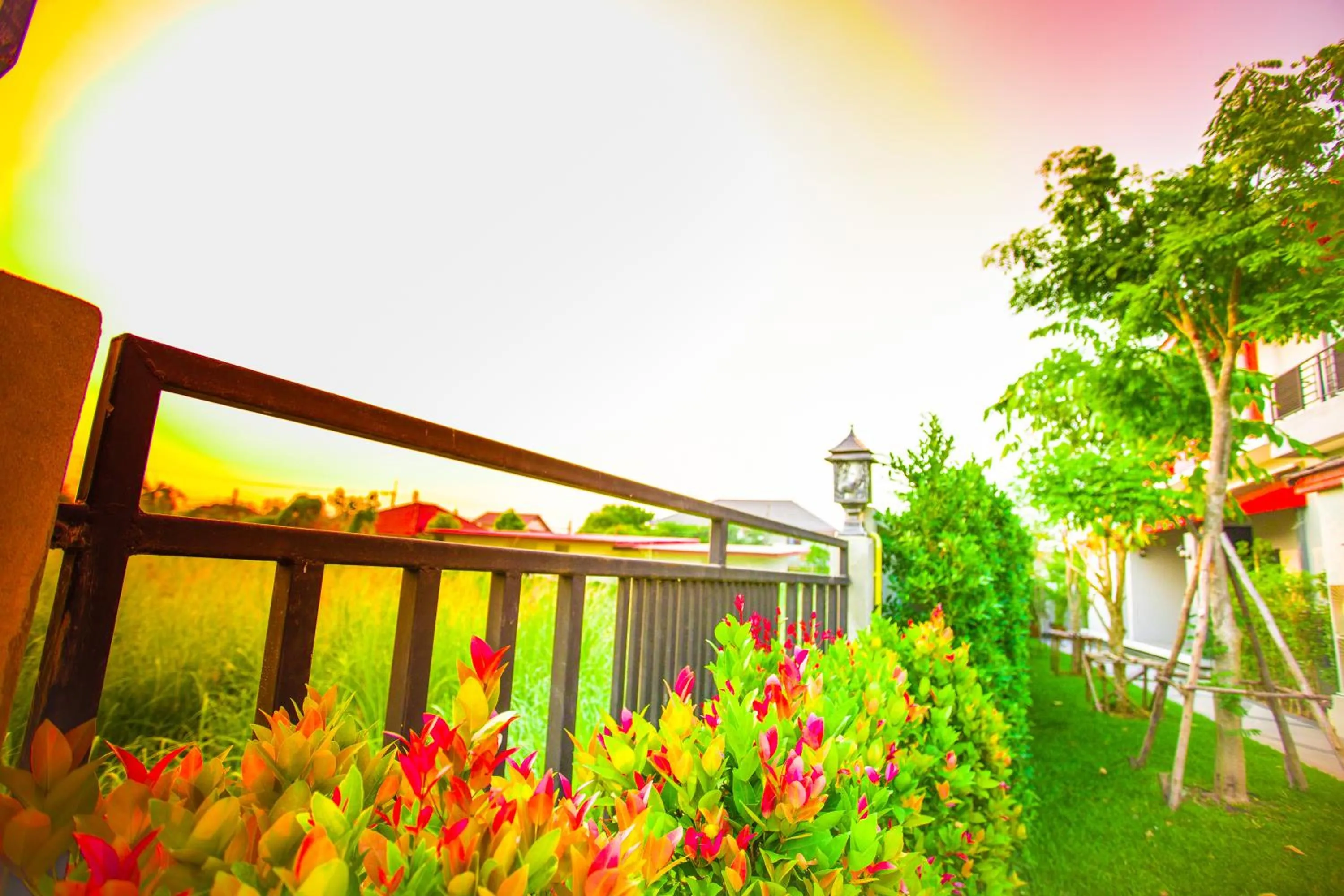 City view in Aziss Boutique Hotel - SHA Plus