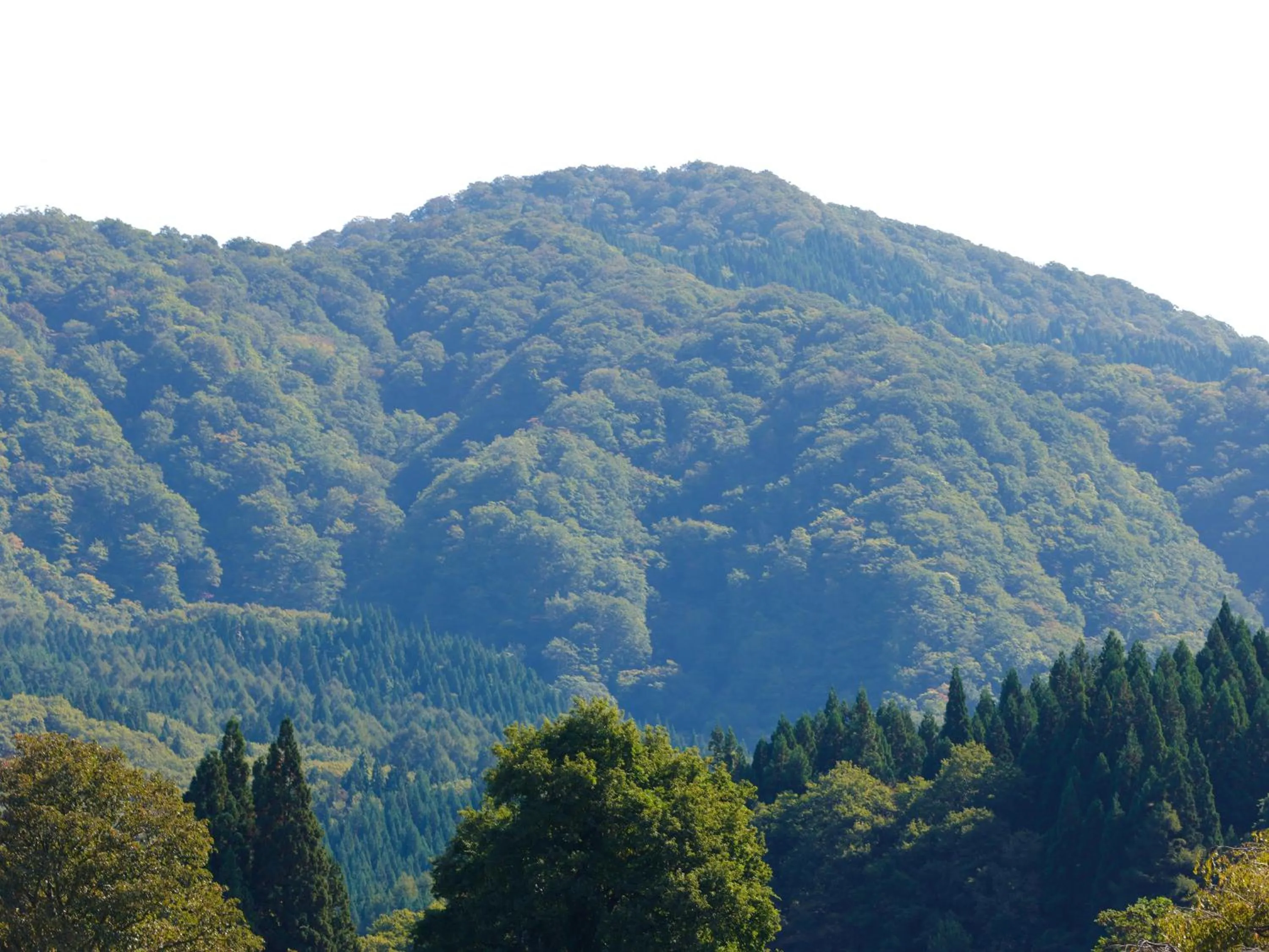 Off site in Yunohara