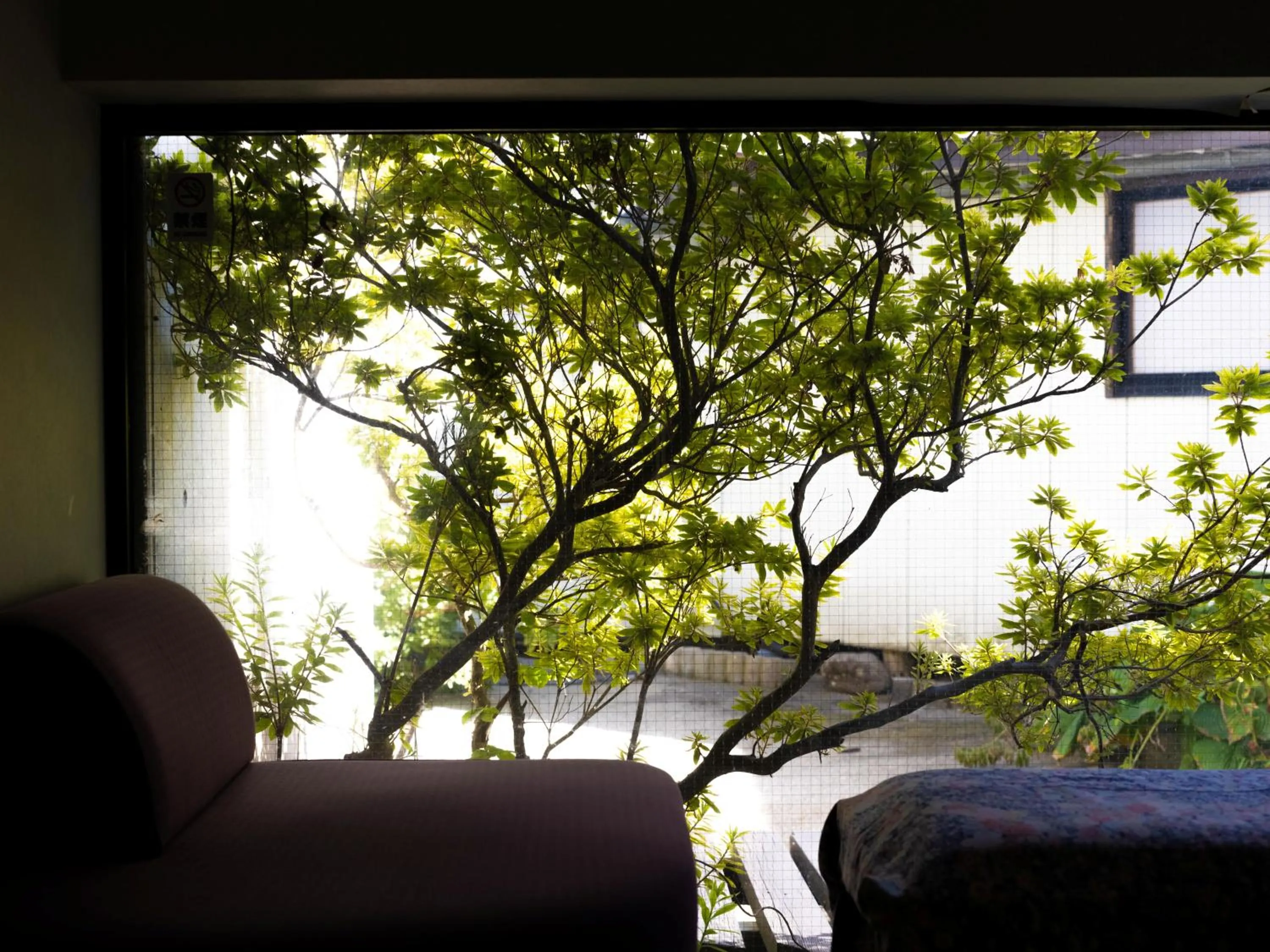 View (from property/room) in Yunohara