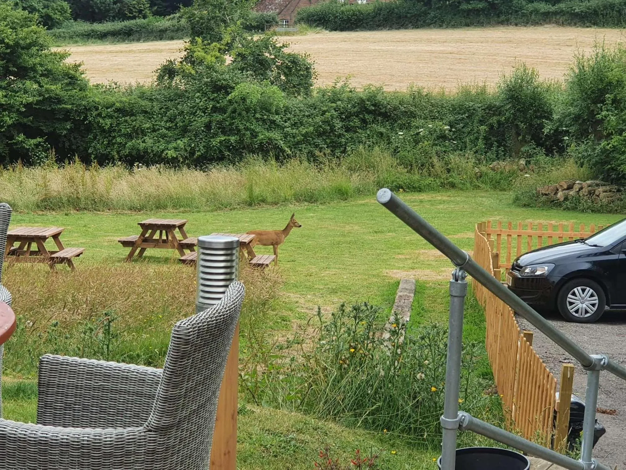 Garden in The Carpenters Arms