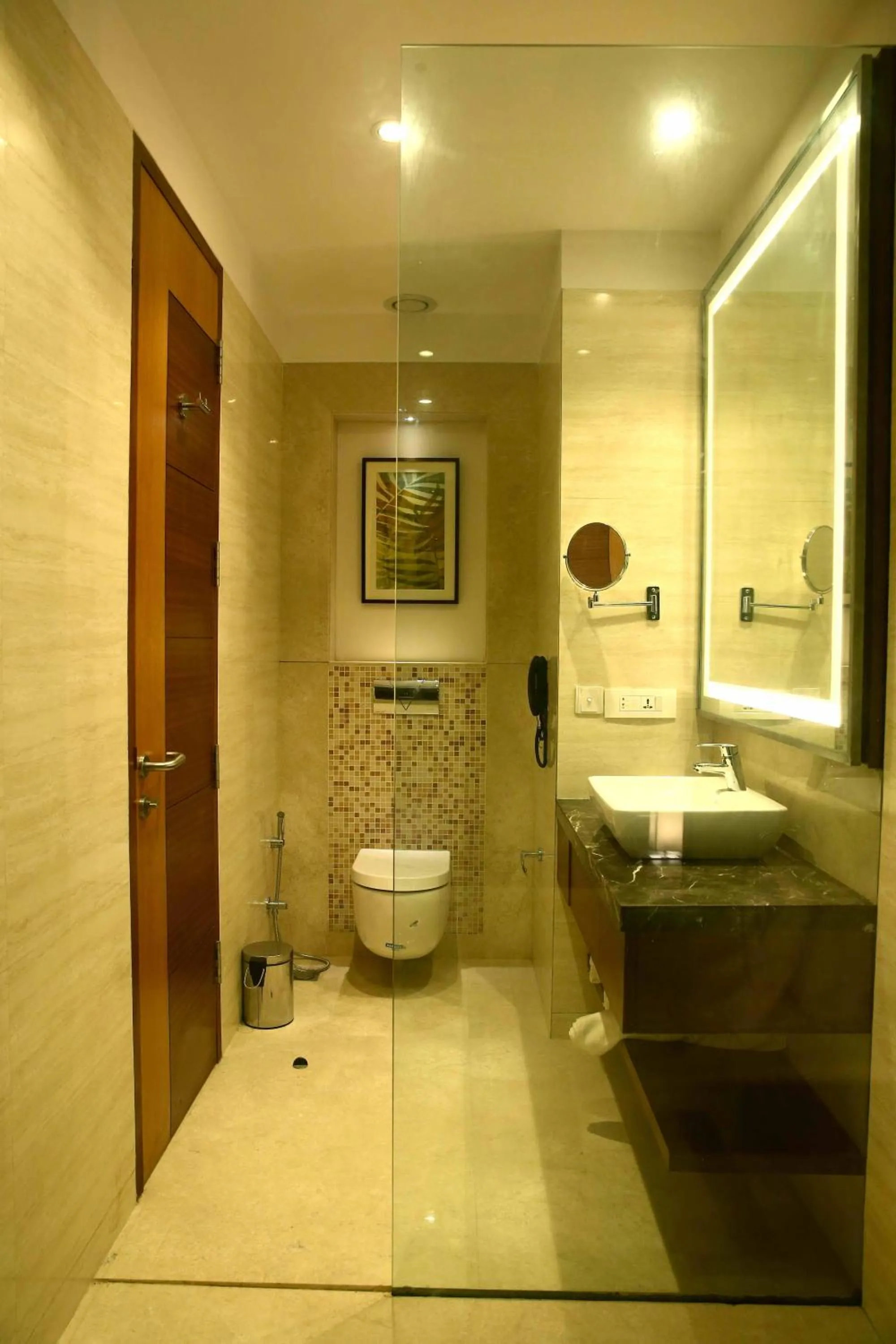 Shower in The P L Palace Agra