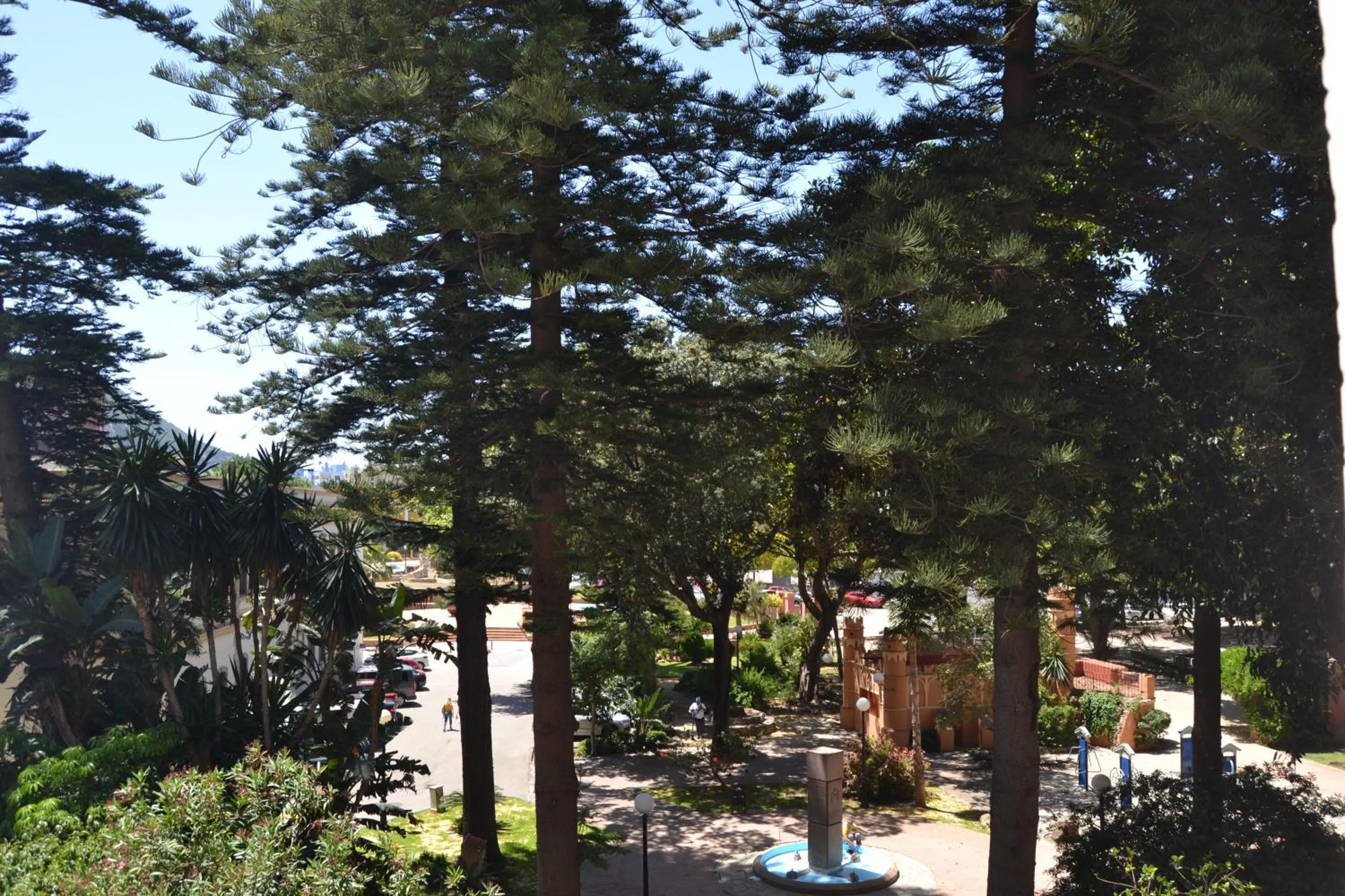 Garden in Hotel Miramar