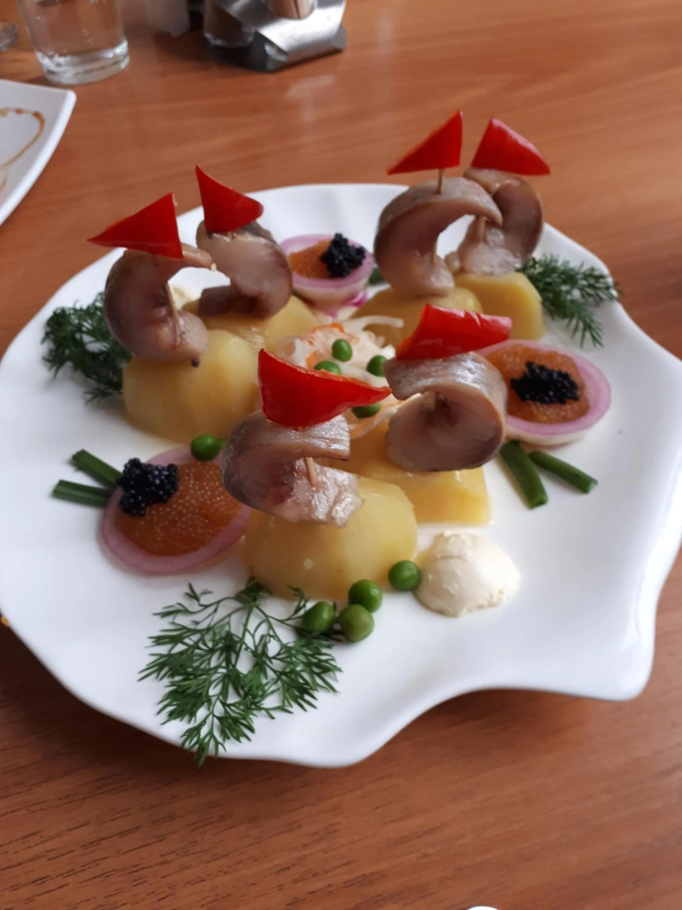 Dniprovski Zori
