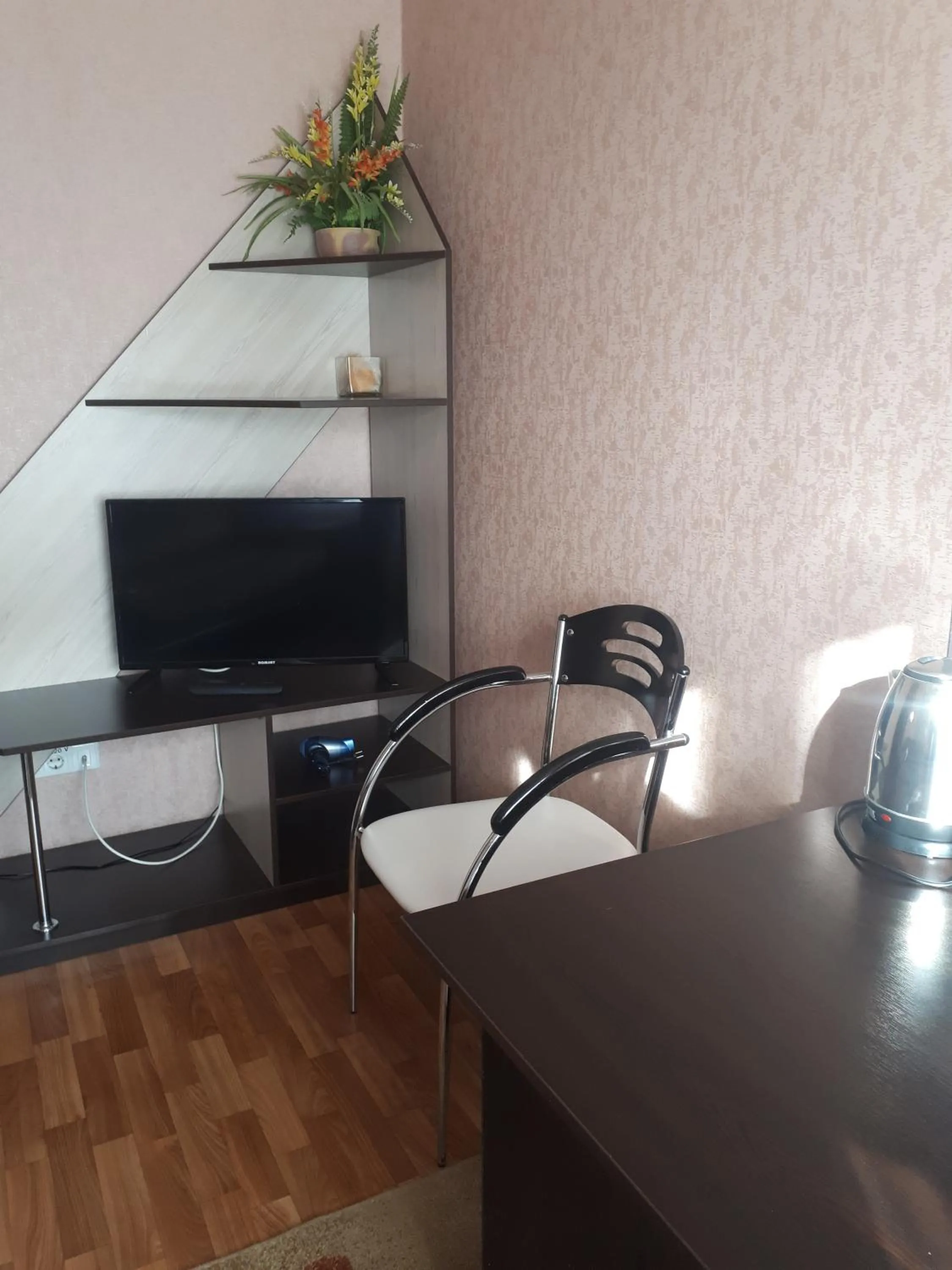 Dniprovski Zori