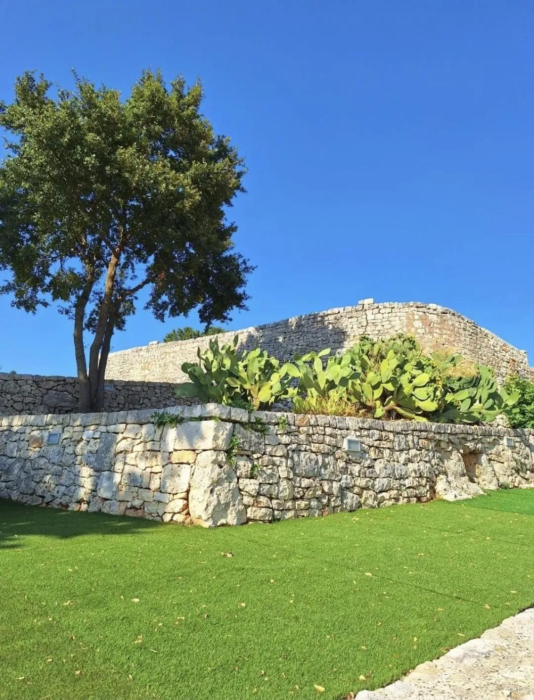 Tenuta Suite 801