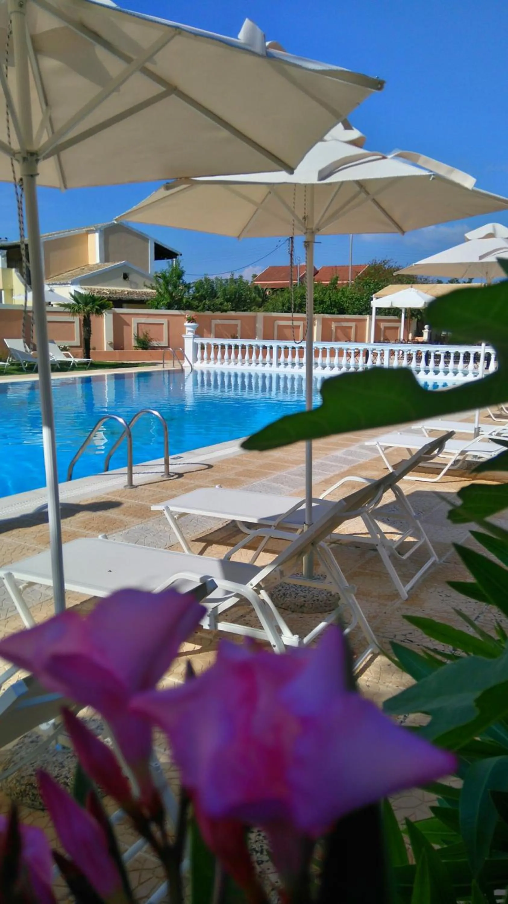 Swimming pool in CorfuGrace