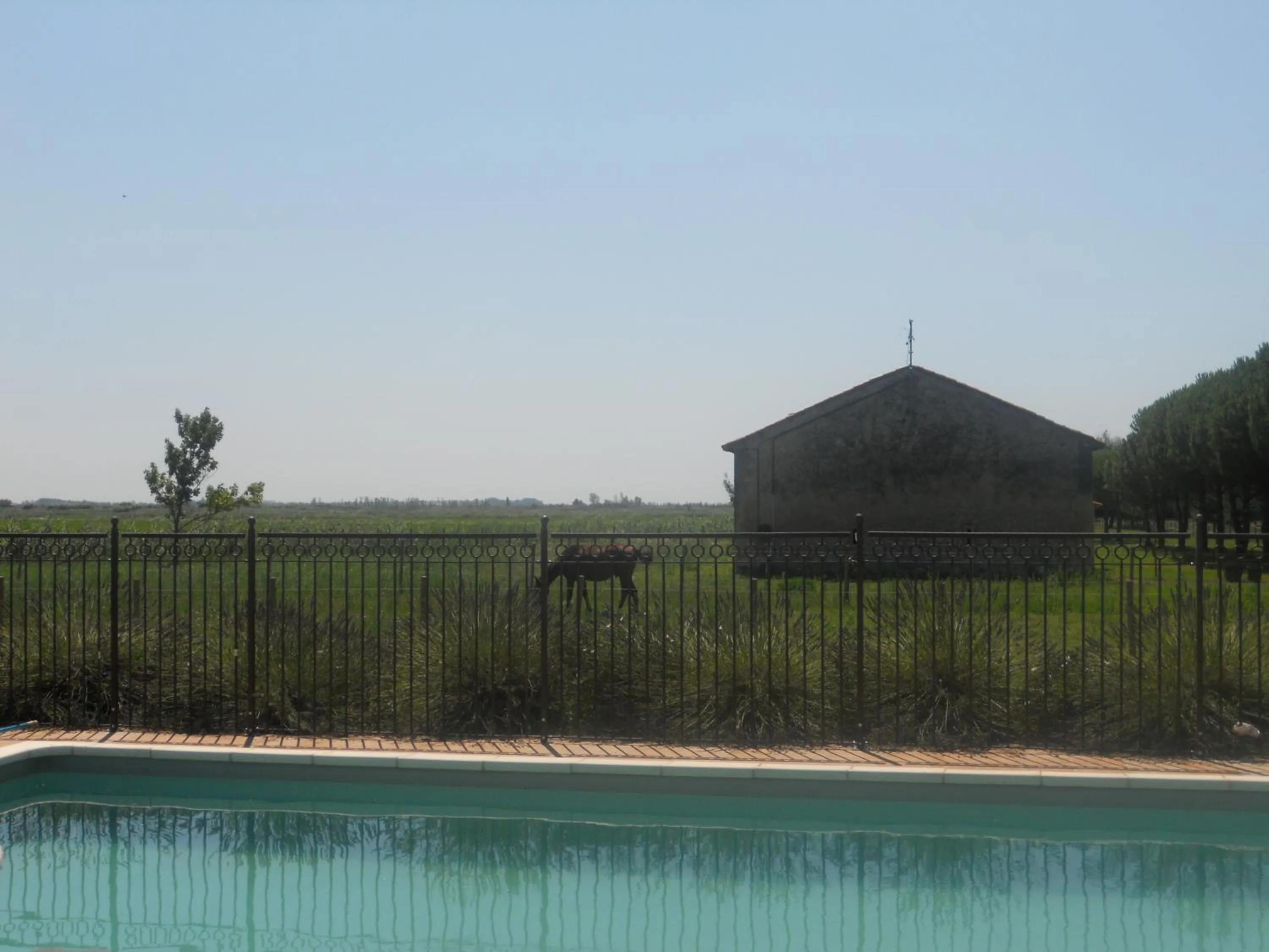 Pool view in Mas Petit Prince