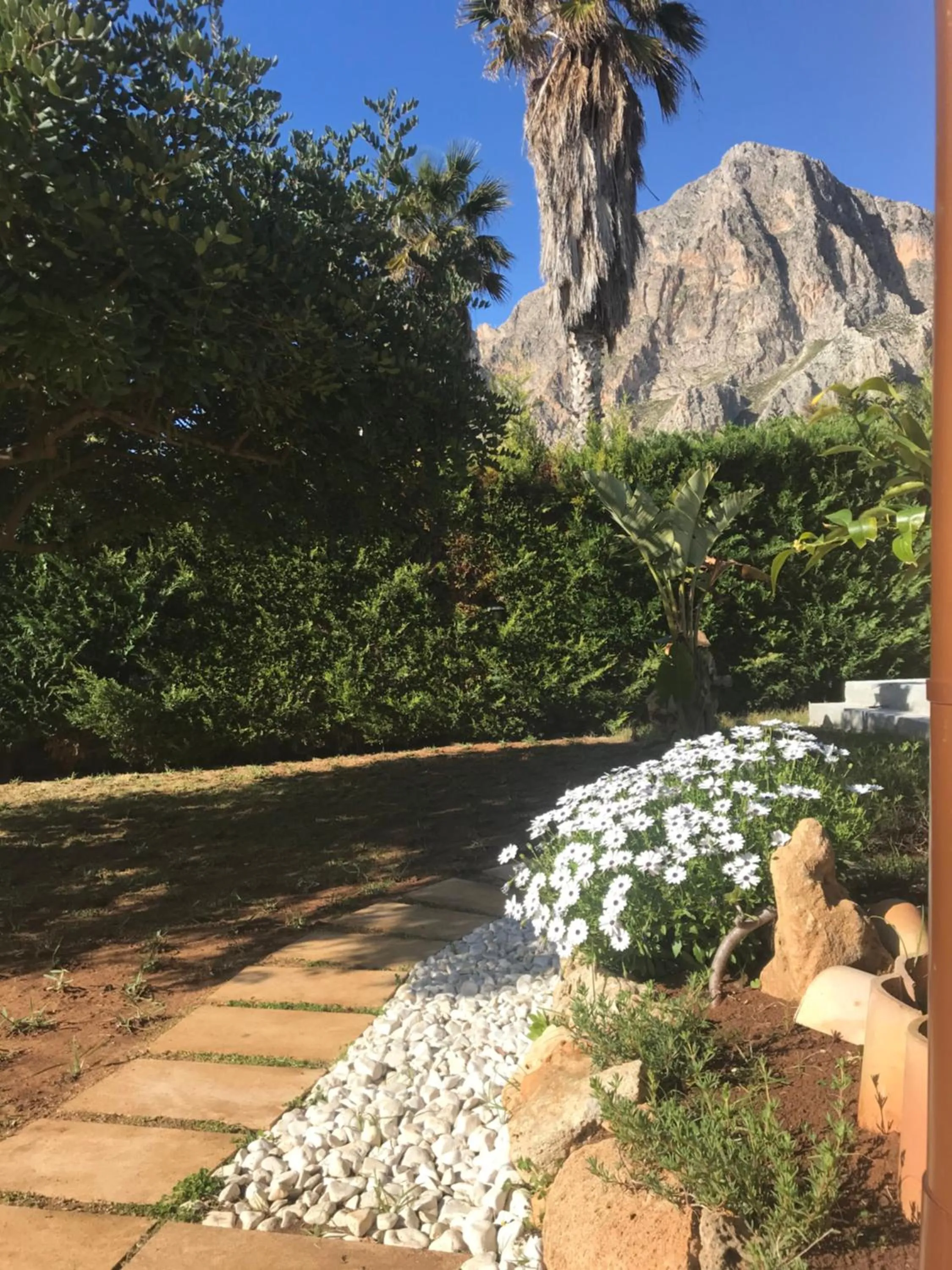 Natural landscape in Baia Cofano Home