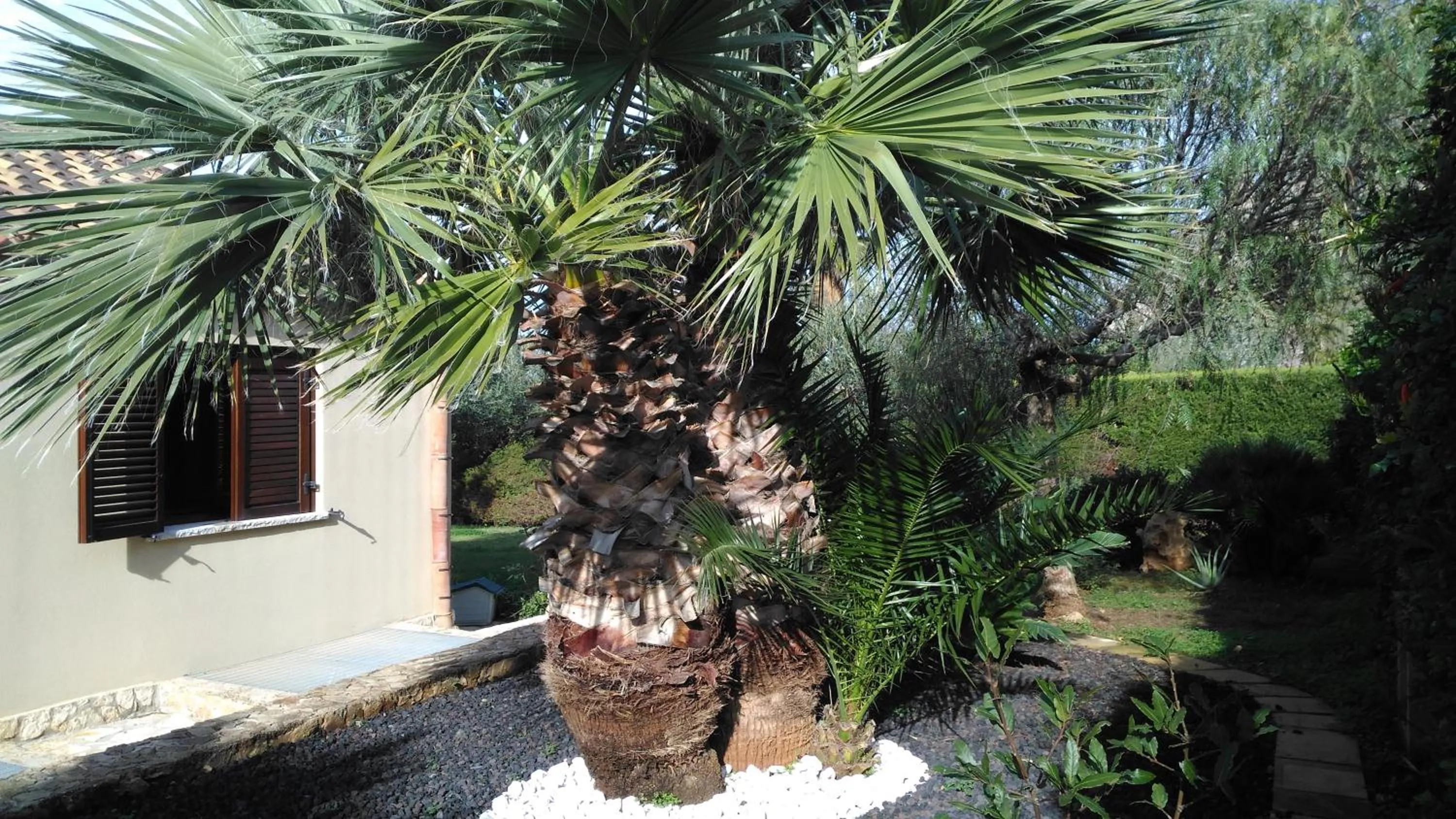 Garden view in Baia Cofano Home
