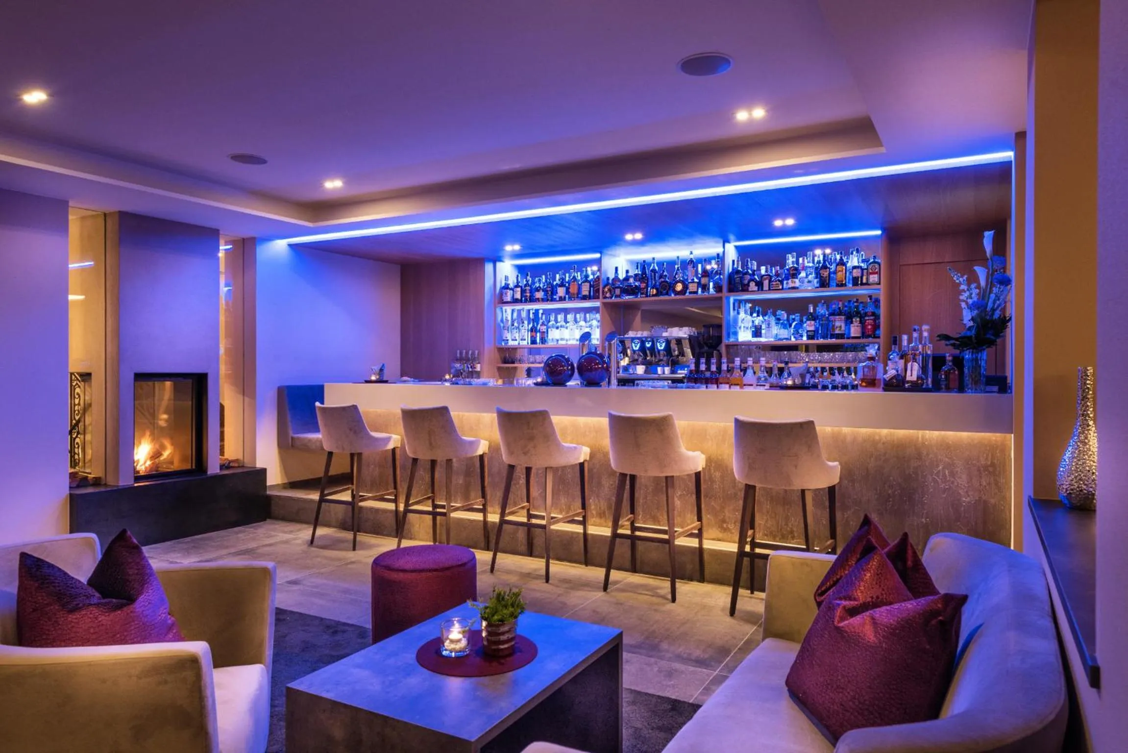 Lounge or bar in FAYN garden retreat hotel