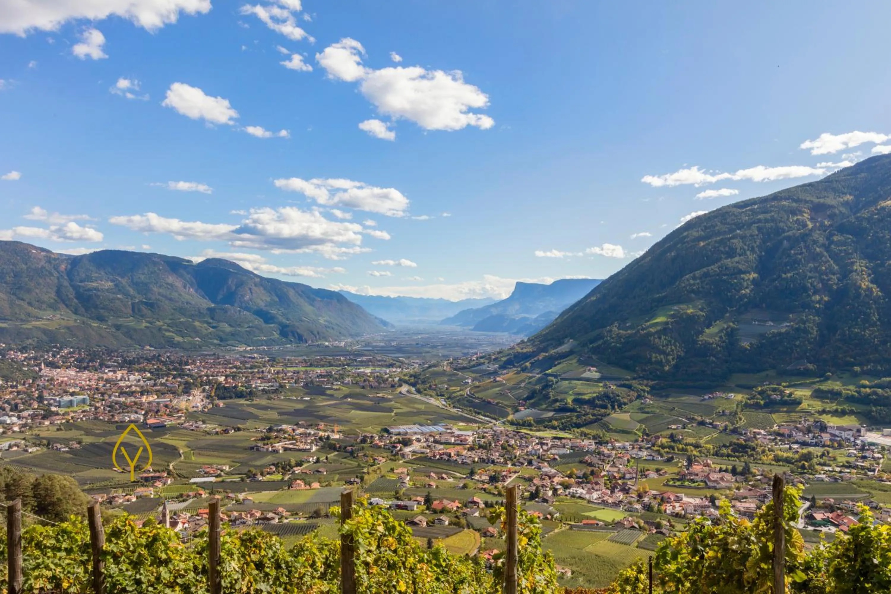 Natural landscape in FAYN garden retreat hotel