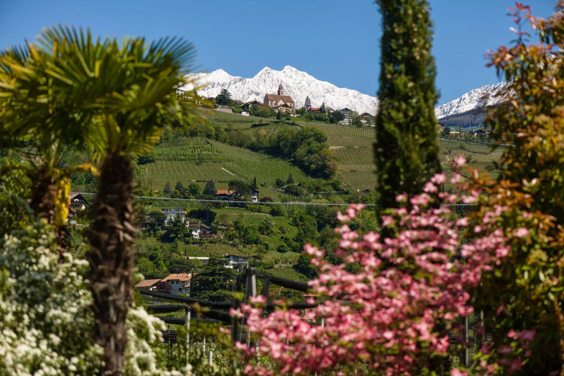 Nearby landmark in FAYN garden retreat hotel