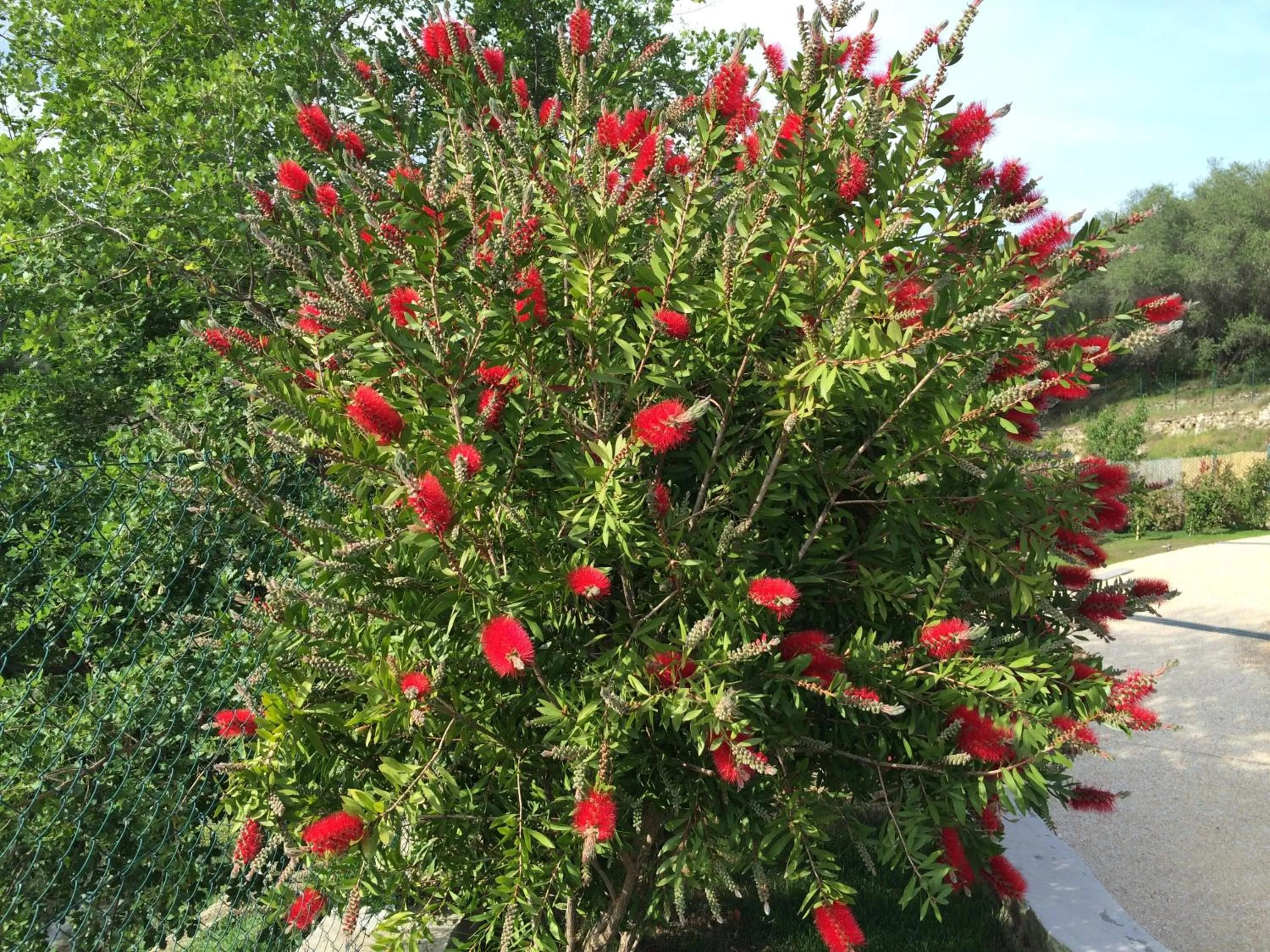 Property building in B&B Normanna