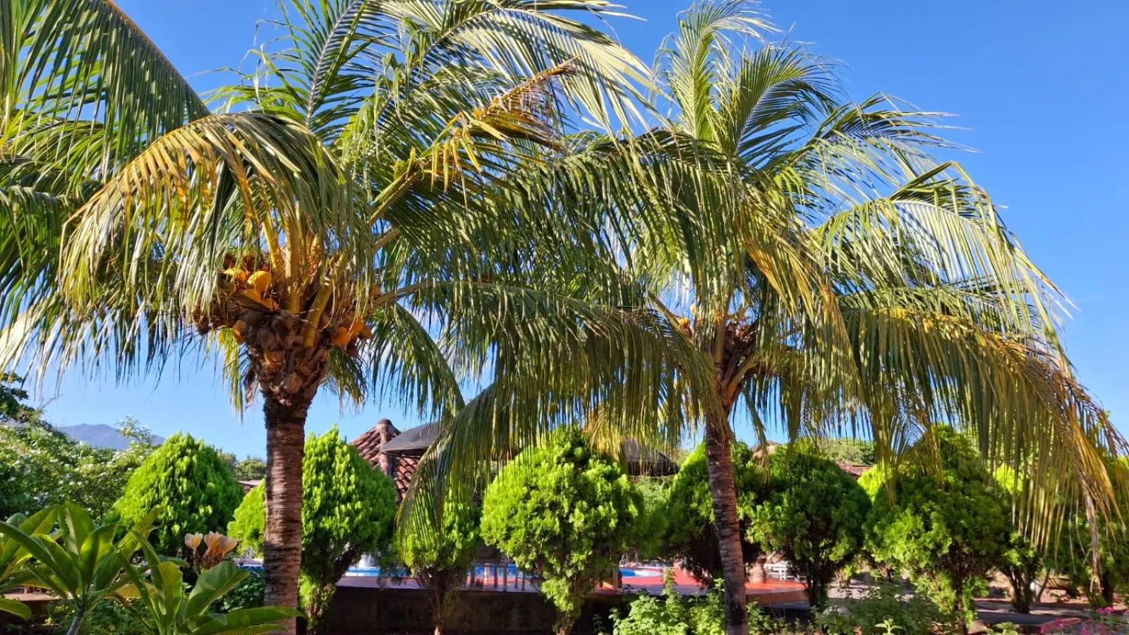 Garden in Hotel Jardín Garden de Granada Nicaragua