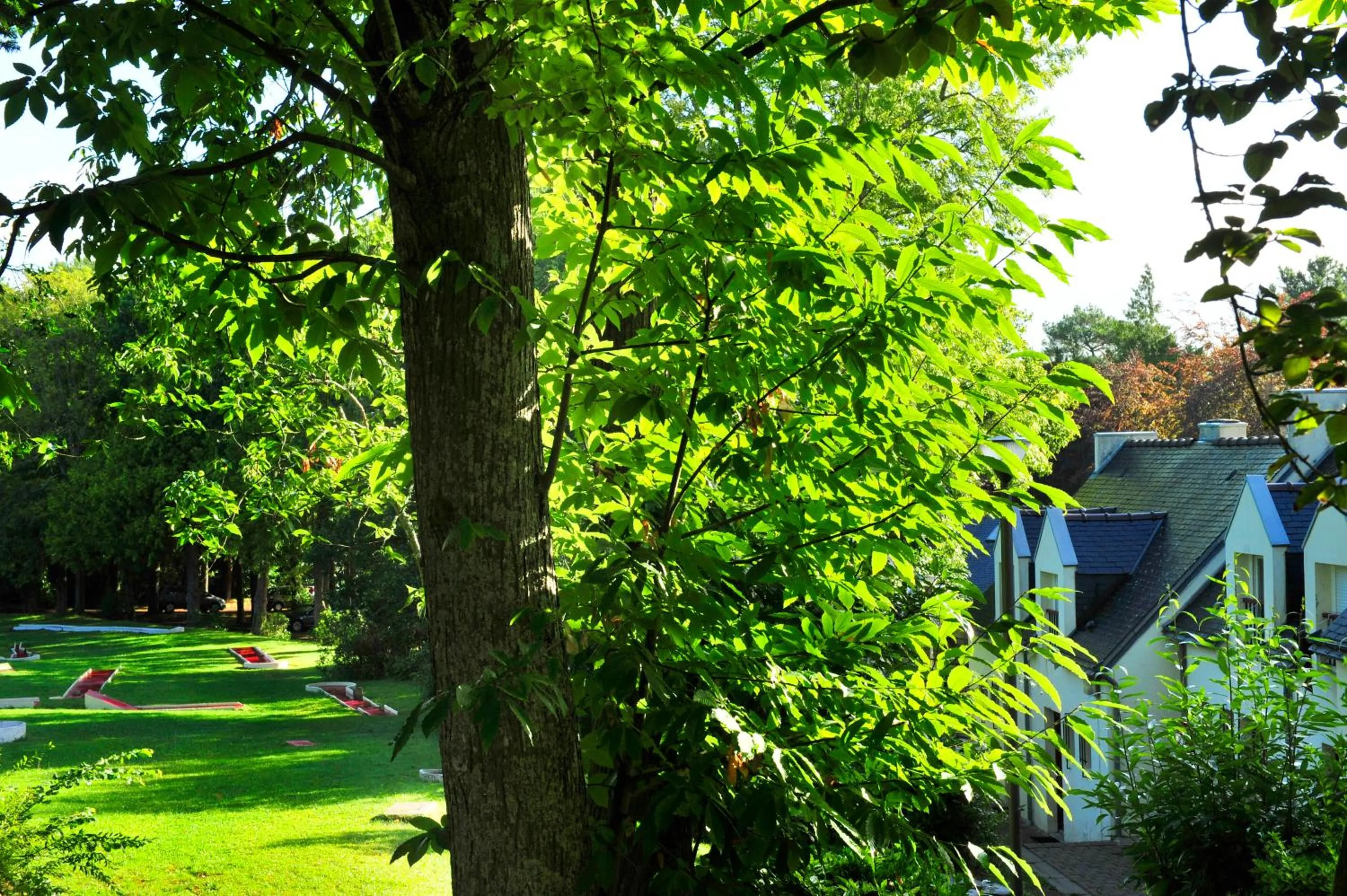 Minigolf in VTF Ker Belen