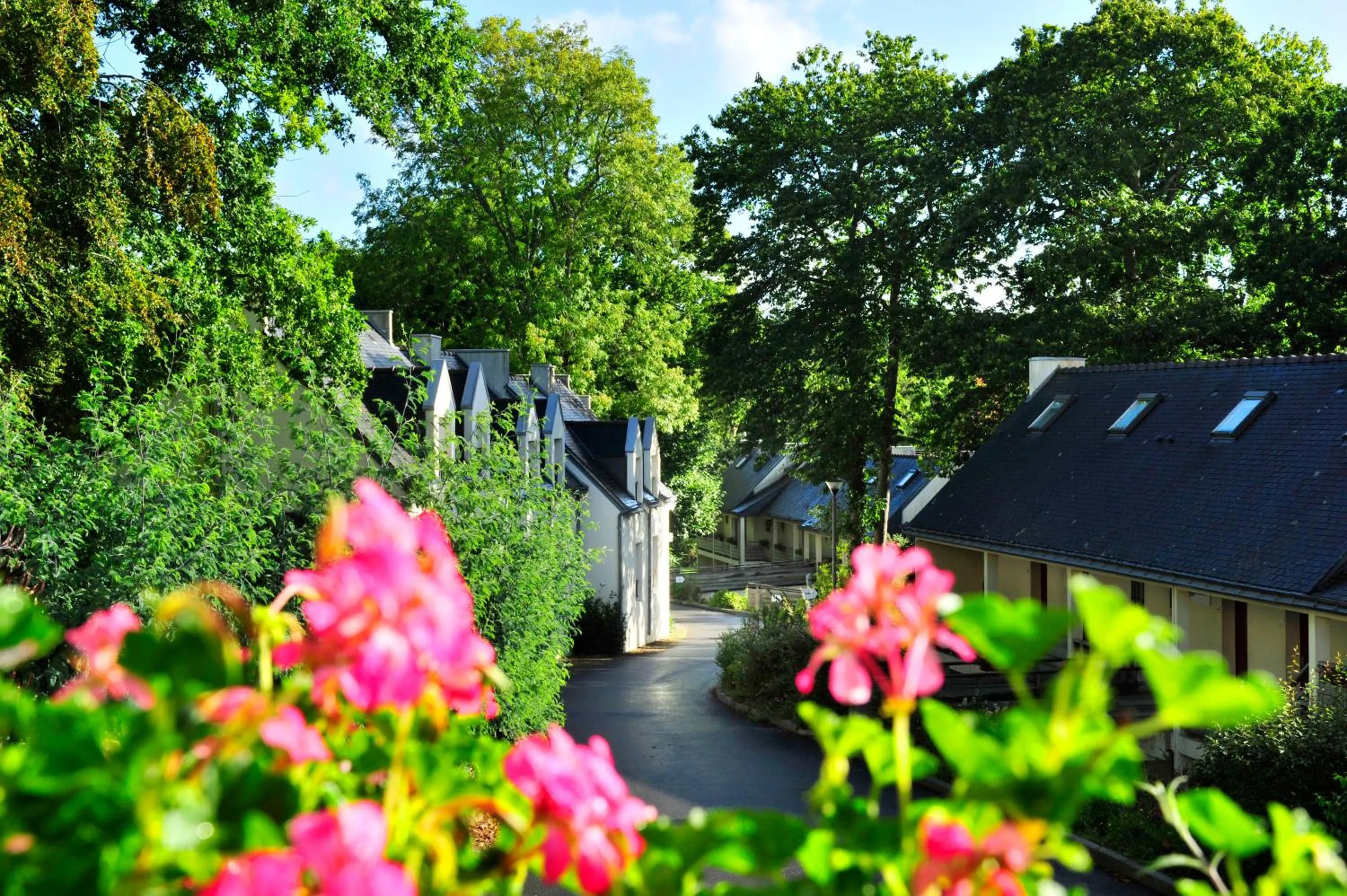 Garden view in VTF Ker Belen