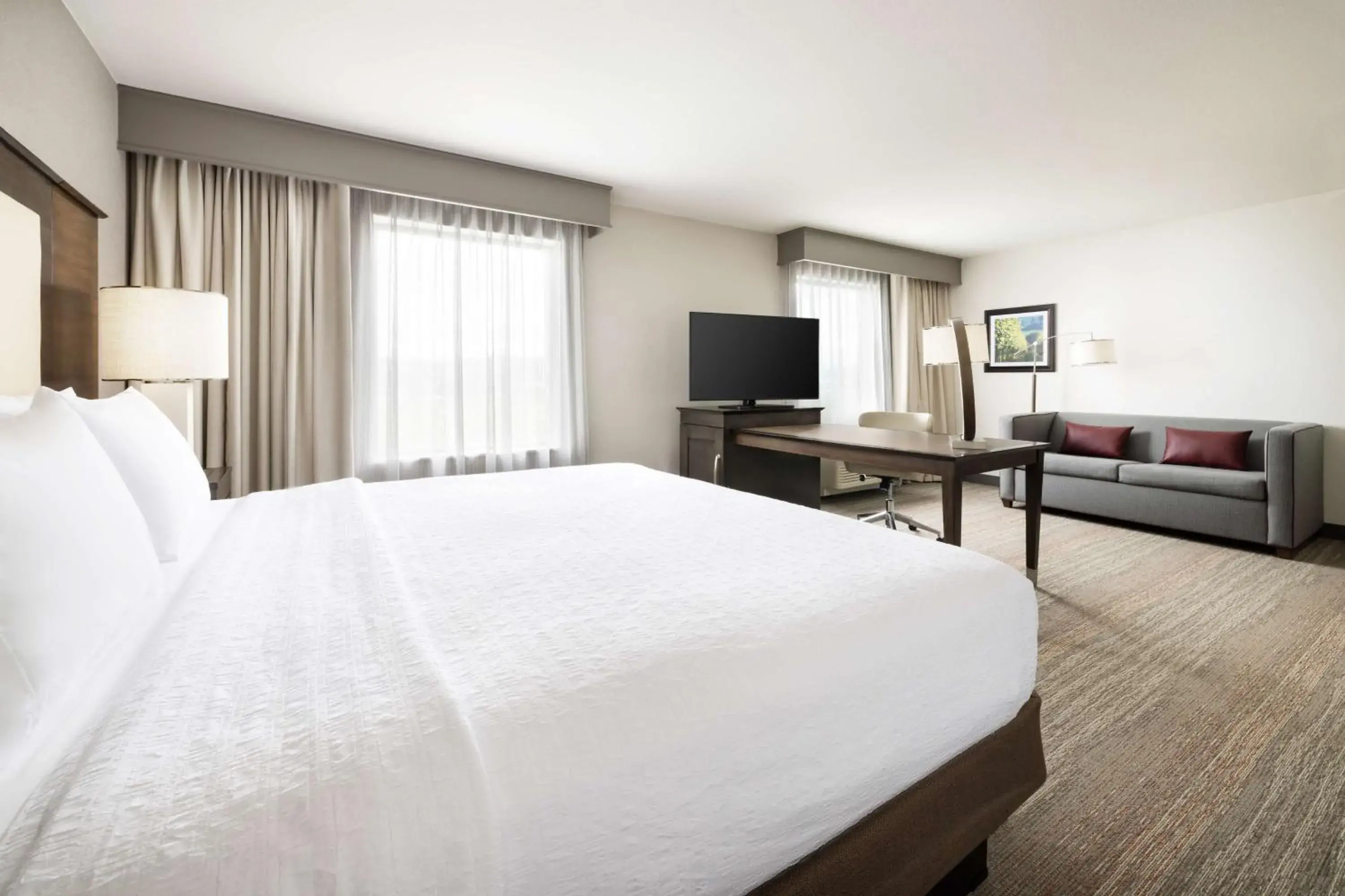 King Studio Suite - Non Smoking in Hampton Inn & Suites - Napa, CA King Studio Suite - Non Smoking in Hampton Inn & Suites - Napa, CA