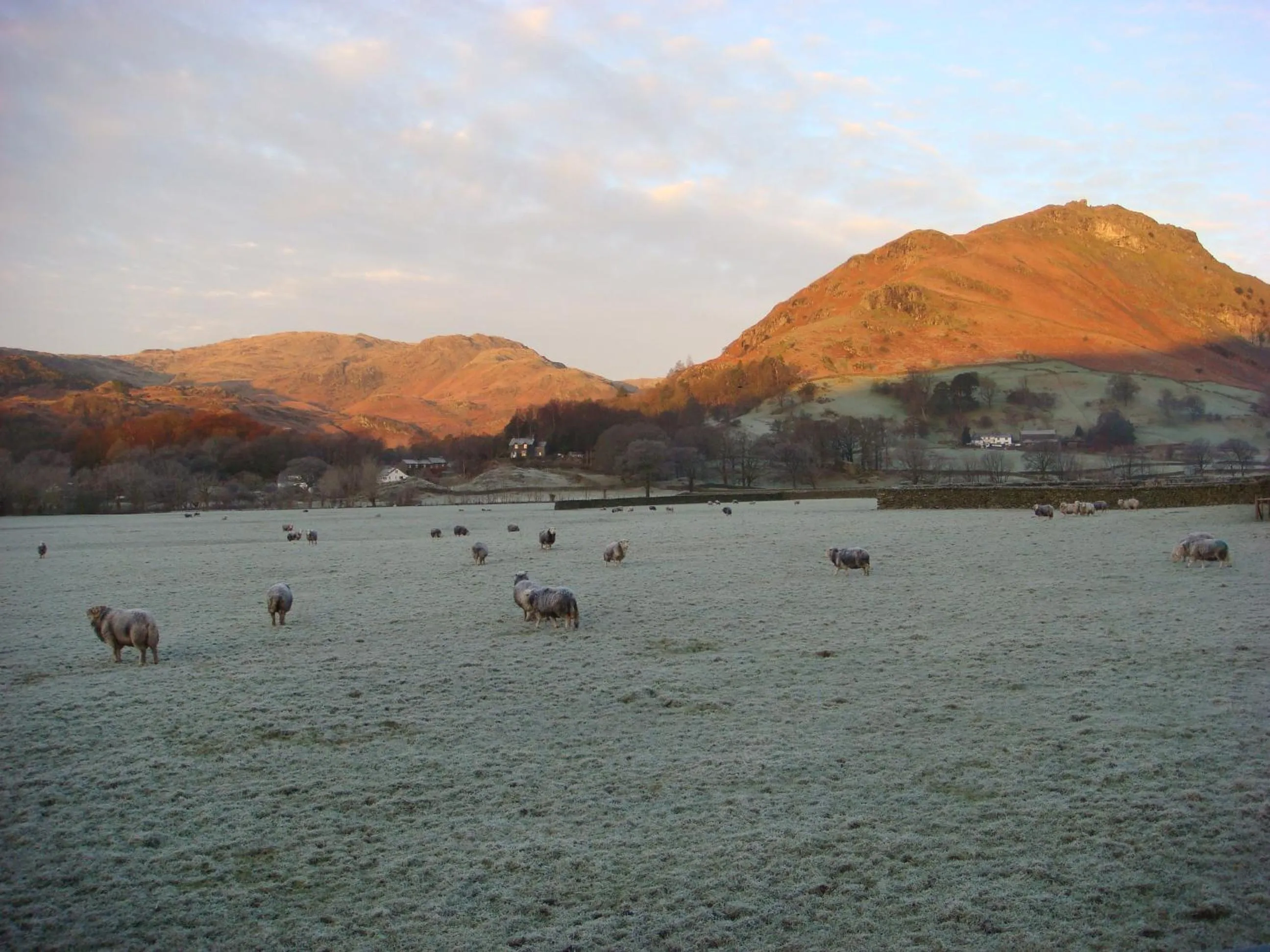 Natural landscape in Raise View House