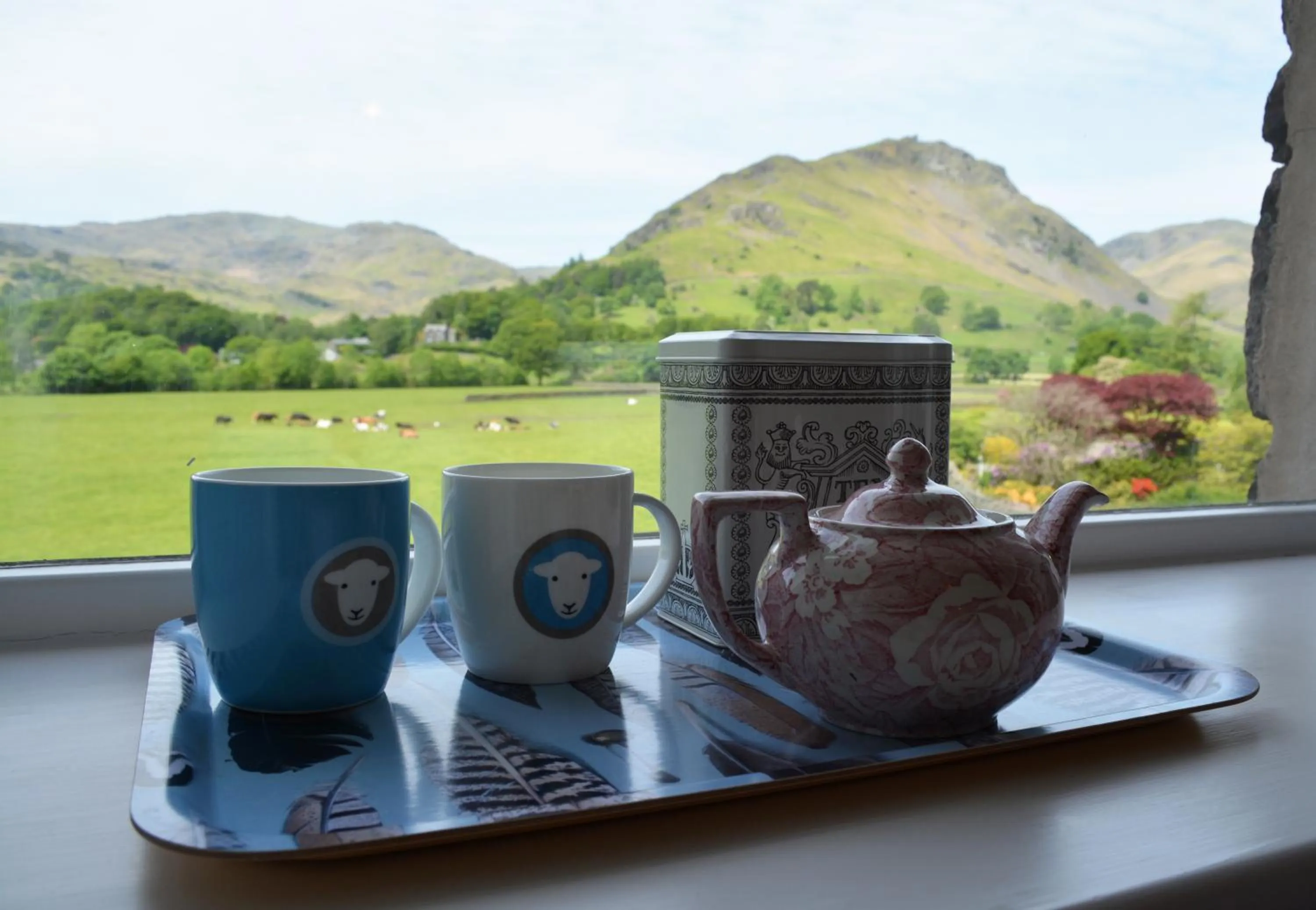 Day in Raise View House