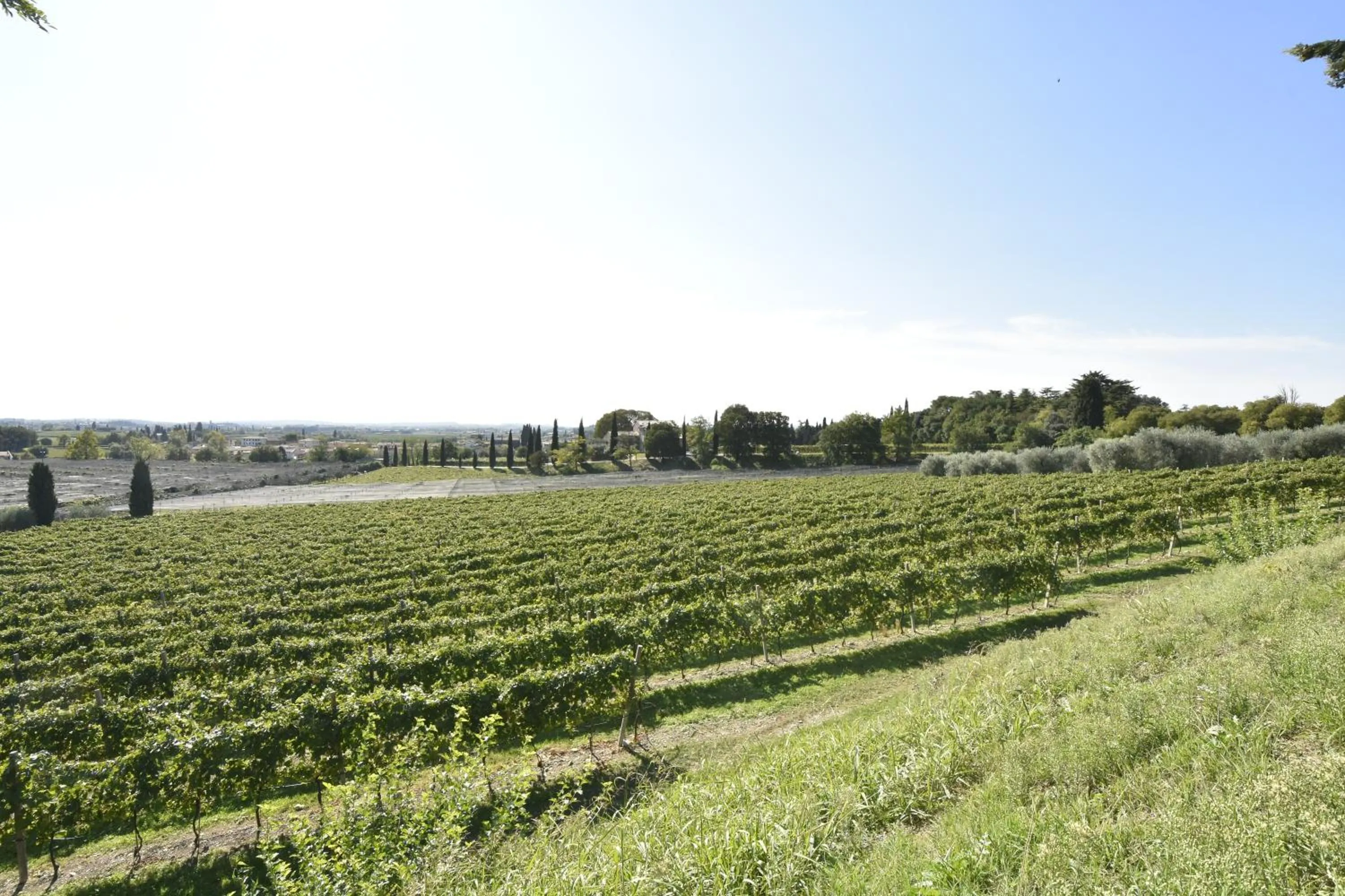 Natural landscape in Le Palazzole