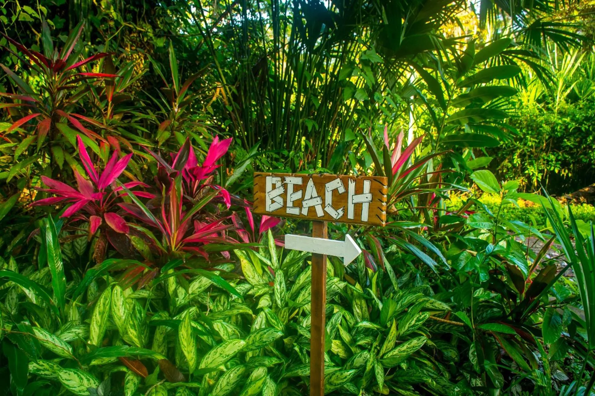 Natural landscape in The Goddess Garden Eco-Resort