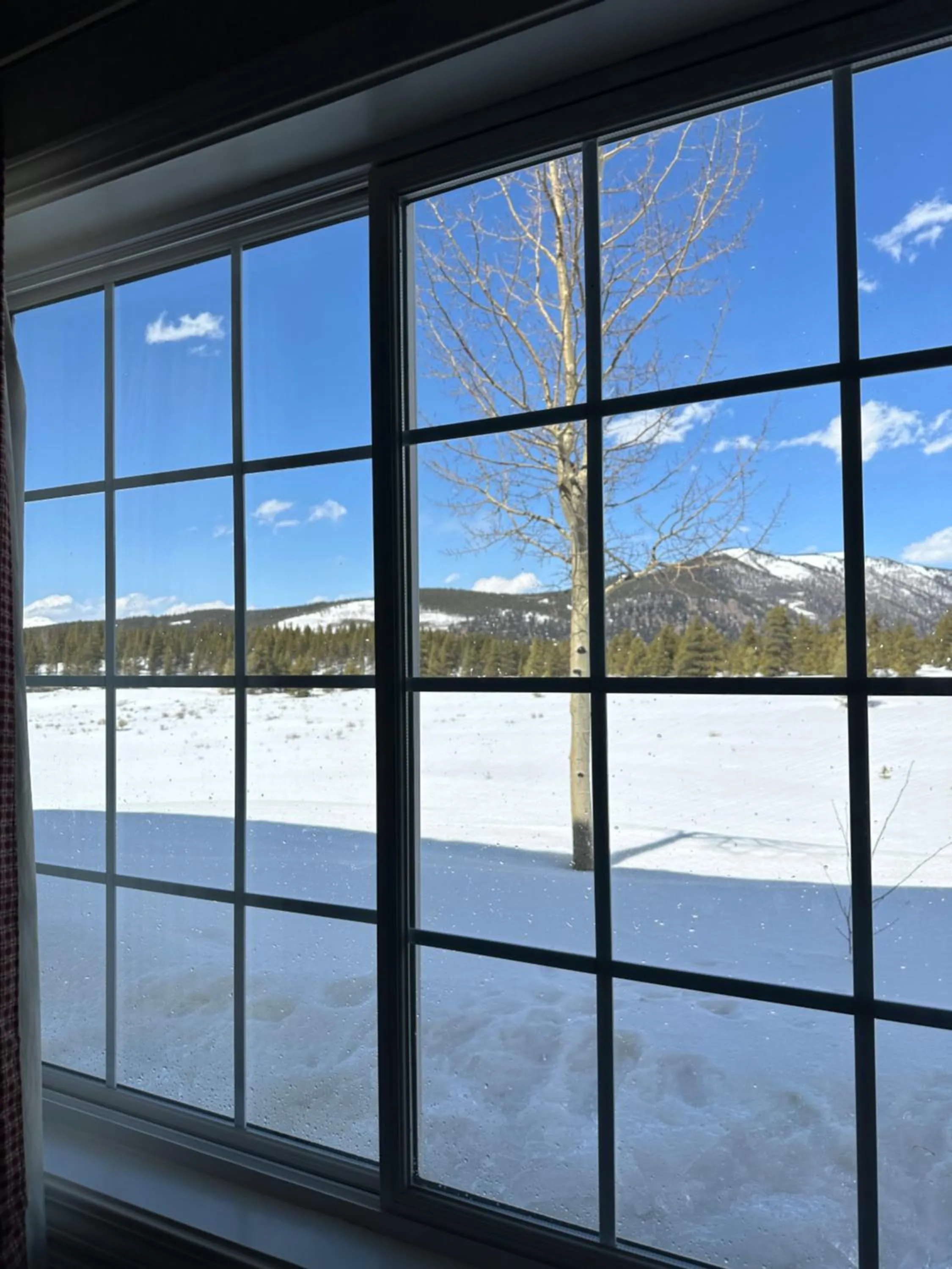 Columbine Inn and Suites