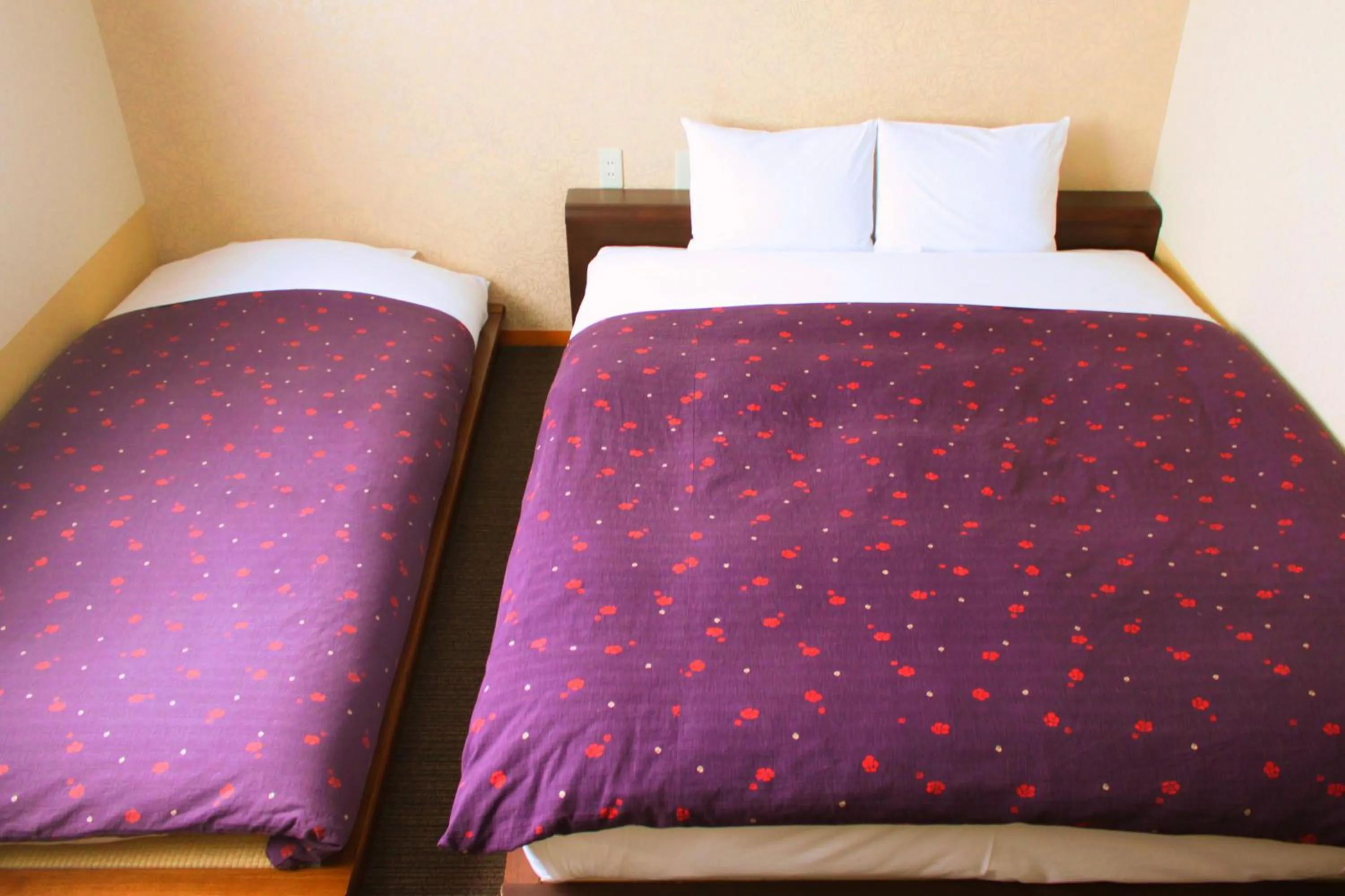 Photo of the whole room, Bed in K&#x27;s House Takayama Oasis [2nd K&#x27;s Hostel]