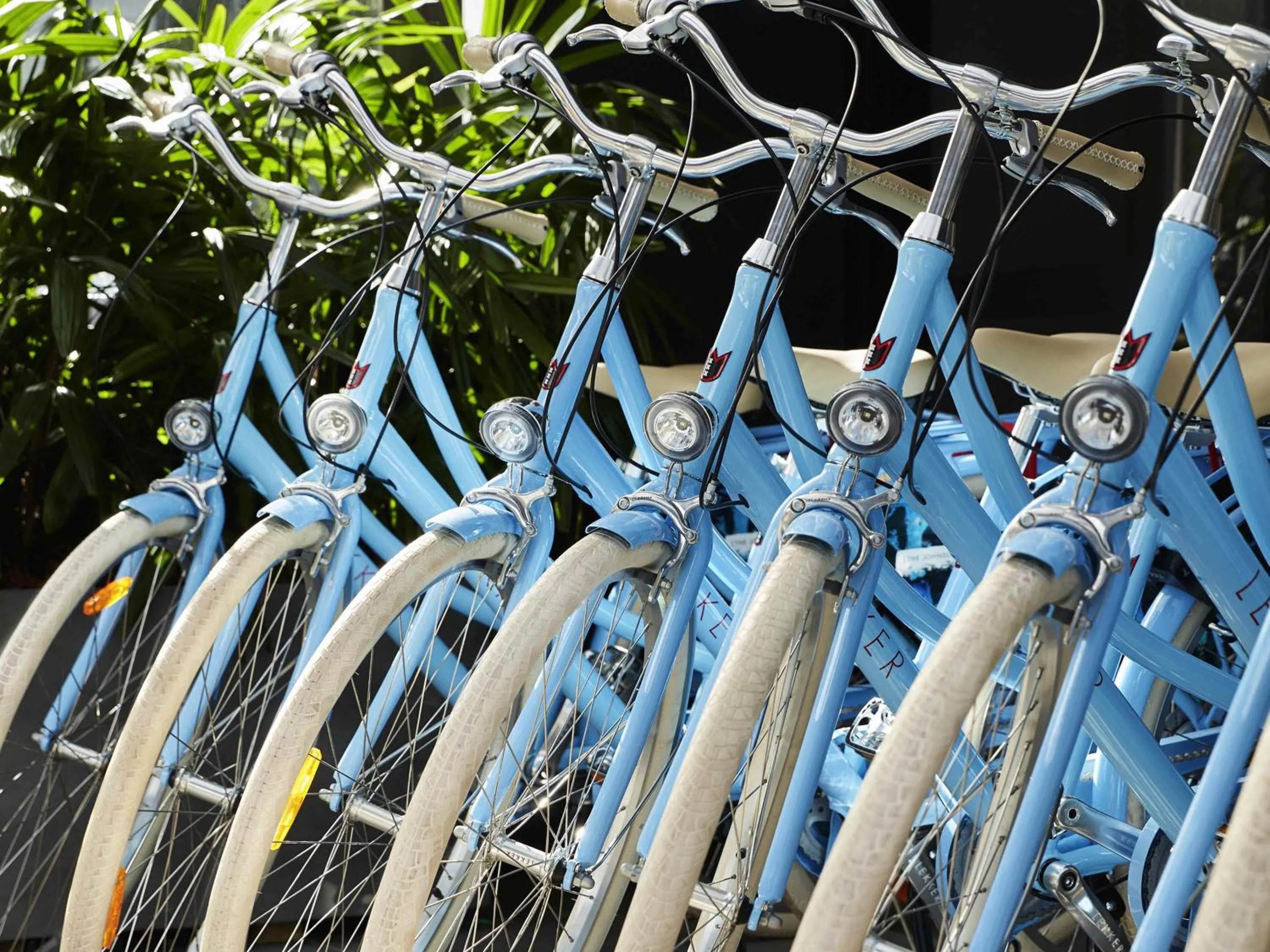 Fitness centre/facilities in The Johnson Brisbane - Art Series