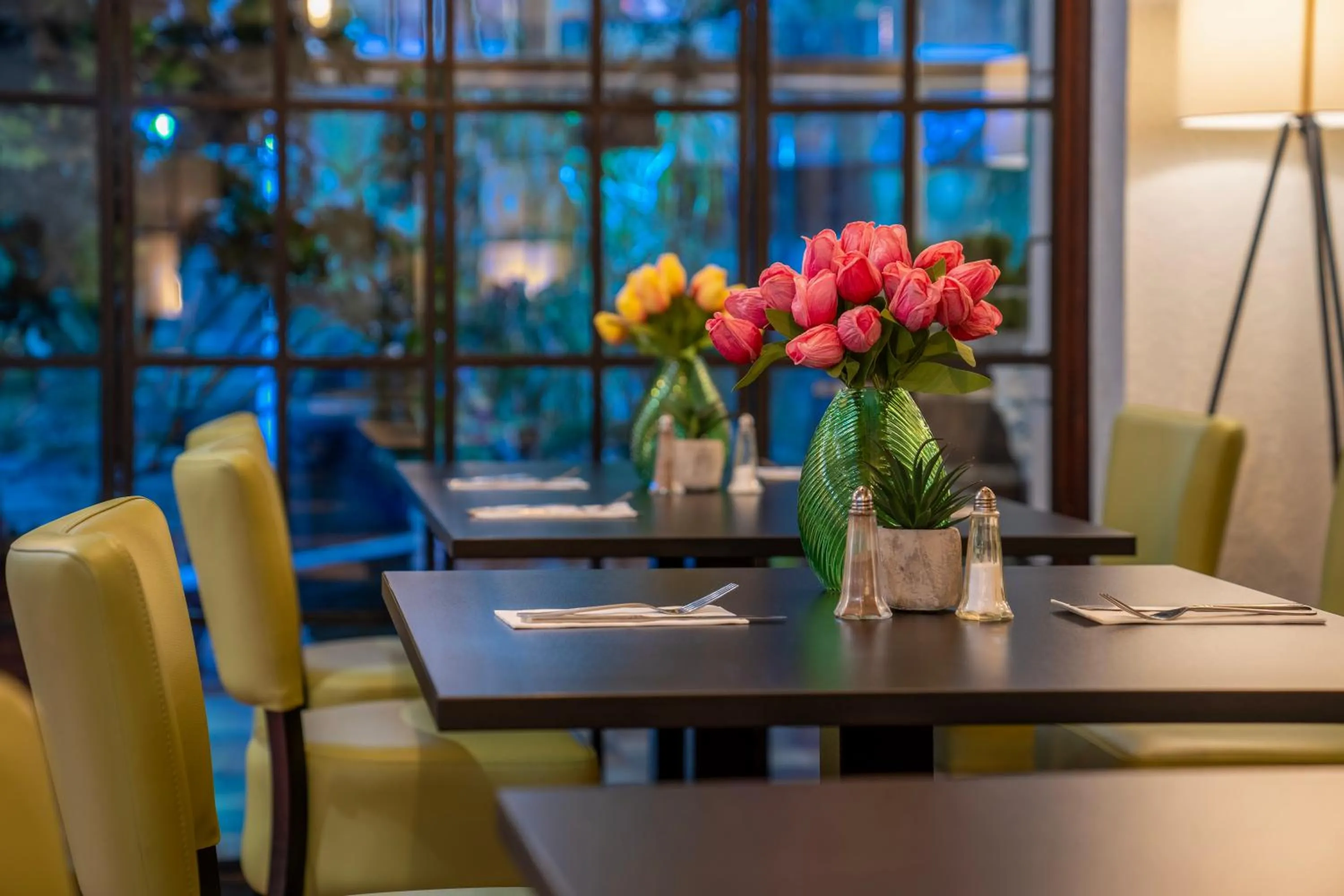 Restaurant/places to eat in Sachas Hotel Manchester