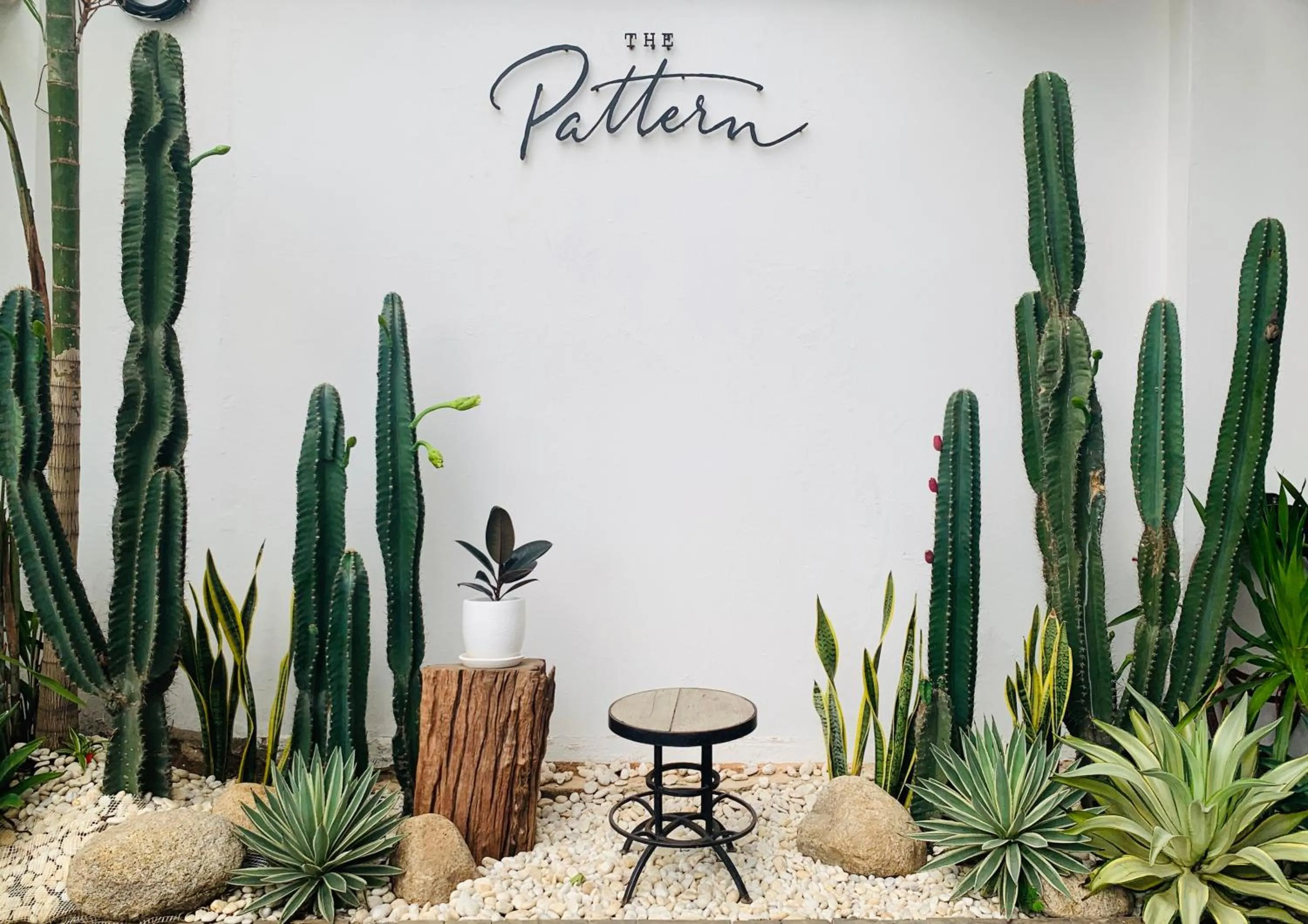 Balcony/Terrace in White Ivory Bed And Breakfast