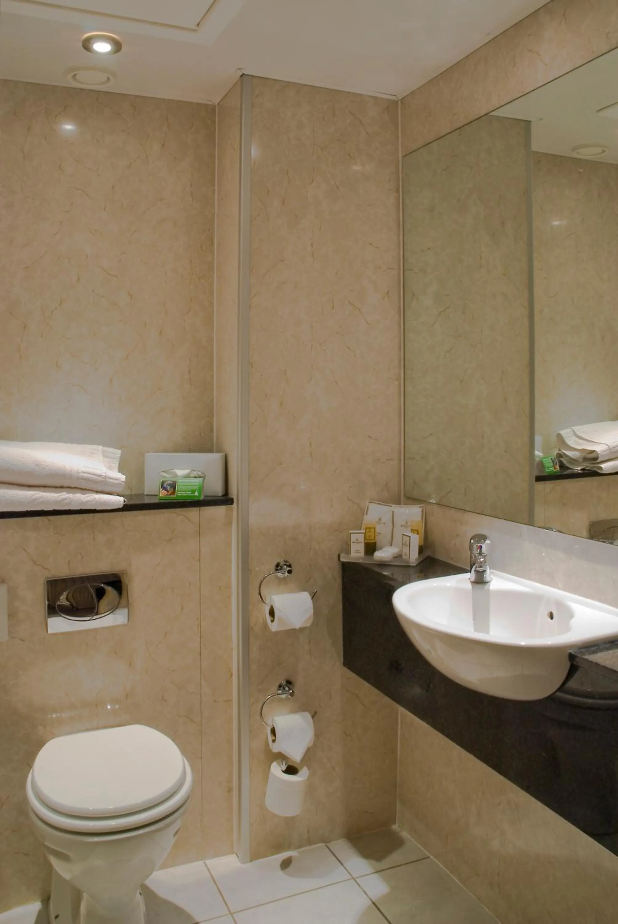 Bathroom in Britannia Country House Hotel & Spa