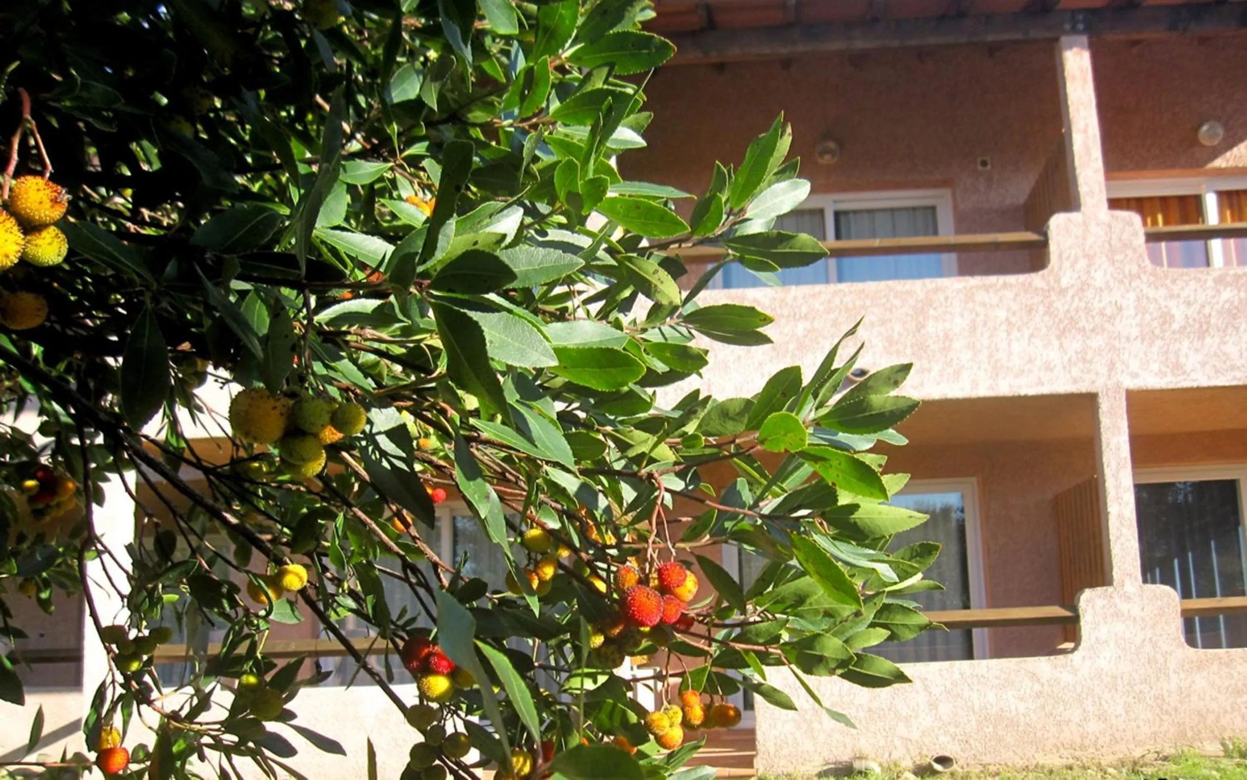 Facade/entrance in Complesso Residenziale Marina di Pinarello