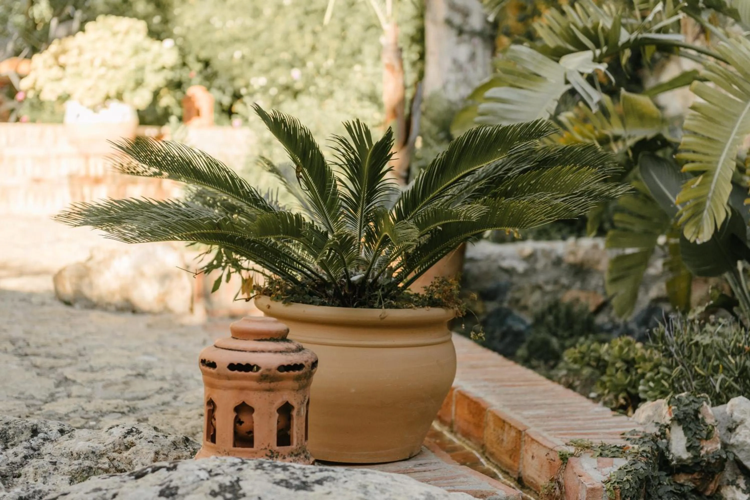 Garden in Hotel Castillo de Monda