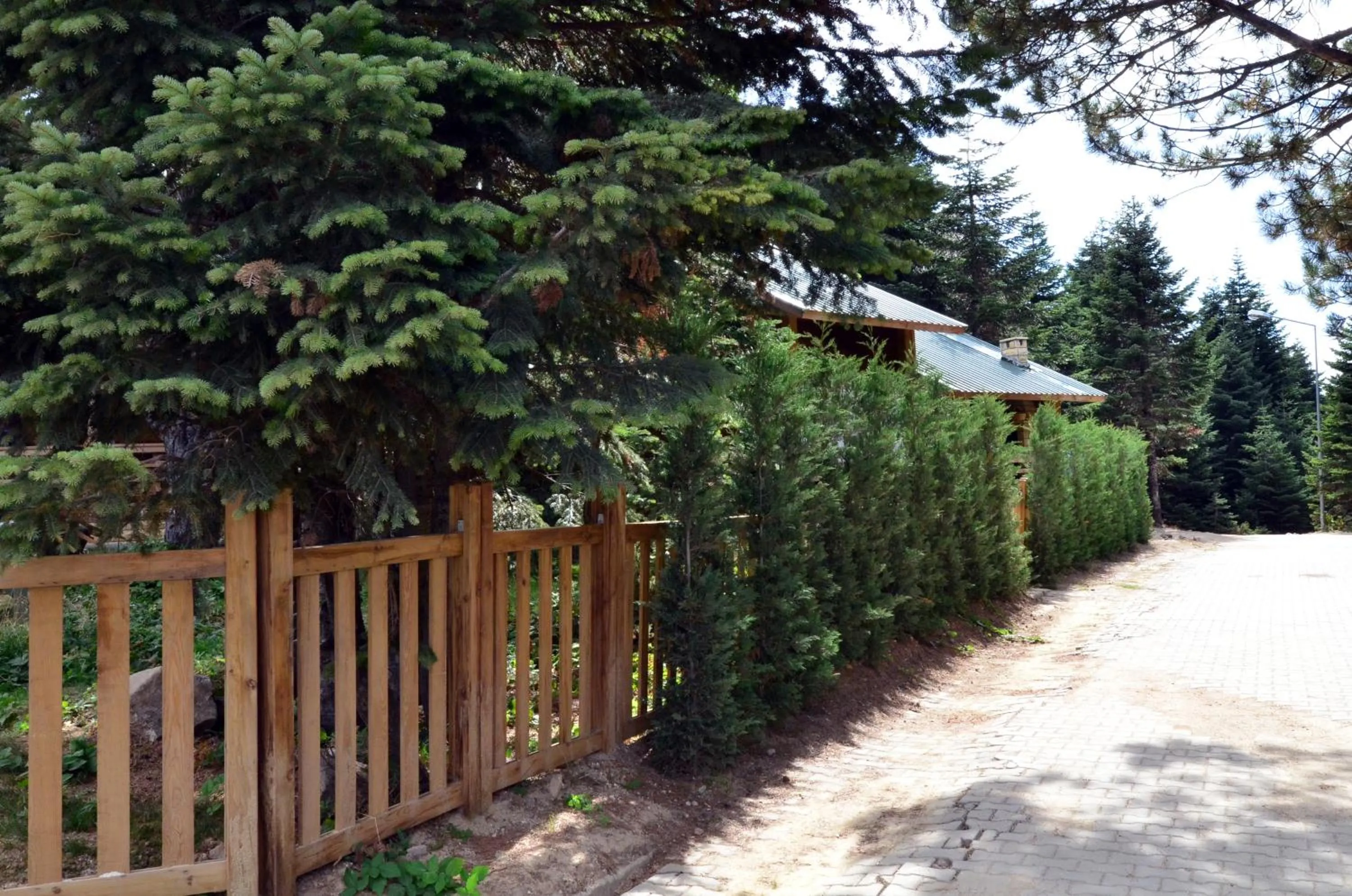 Hiking in Uludag Orman Koskleri