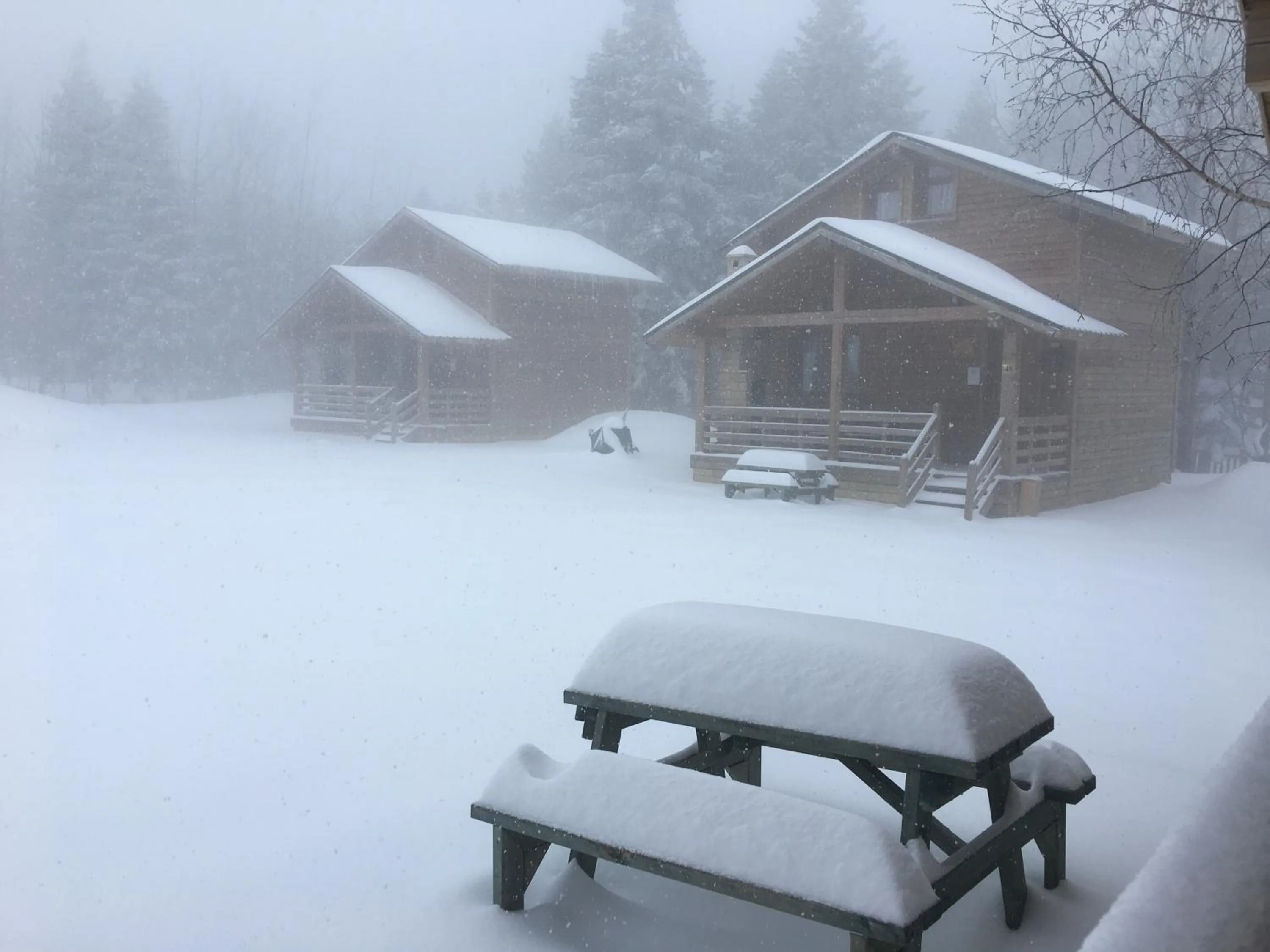 Nearby landmark in Uludag Orman Koskleri
