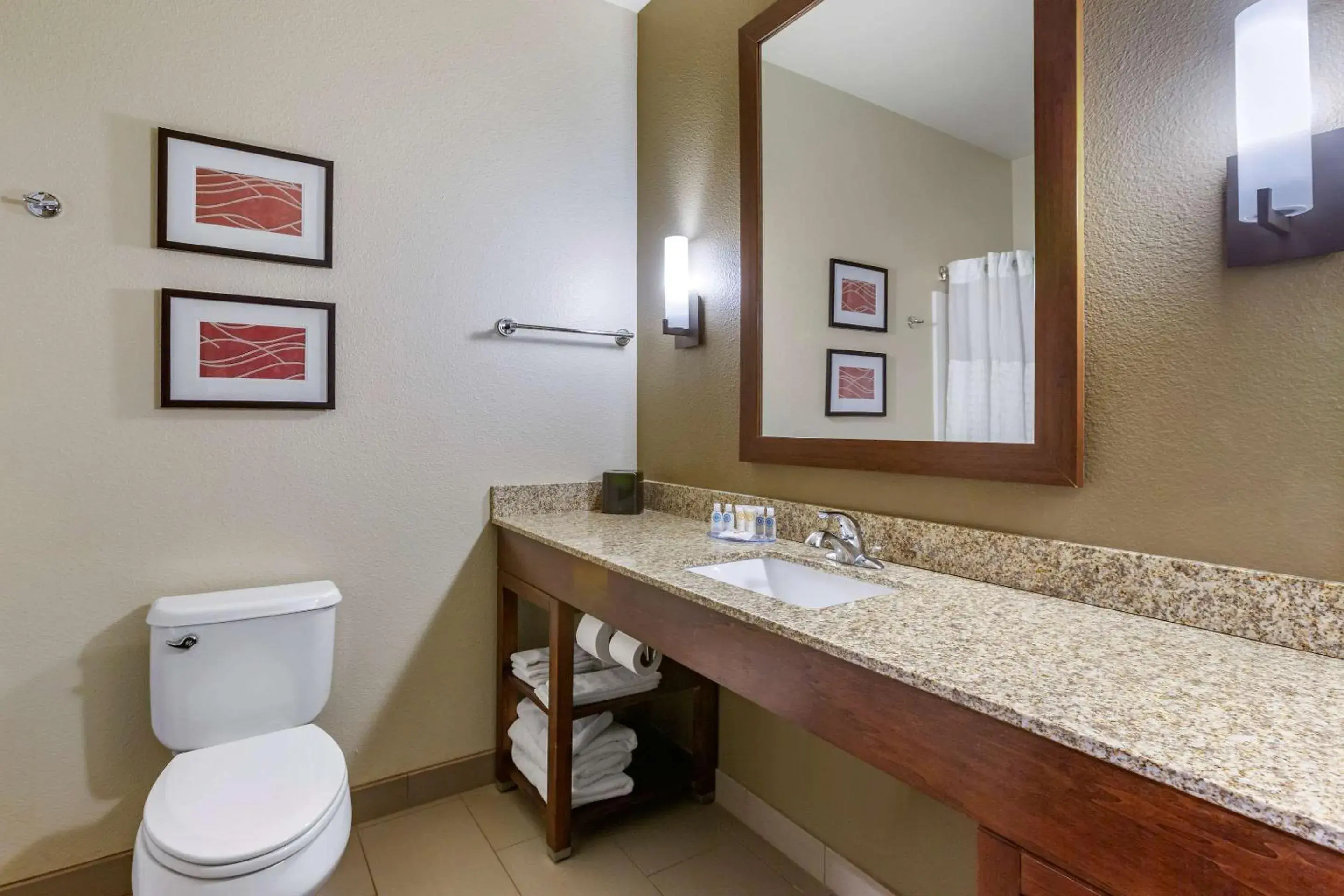 Bathroom in Comfort Inn & Suites Near Mt. Rushmore