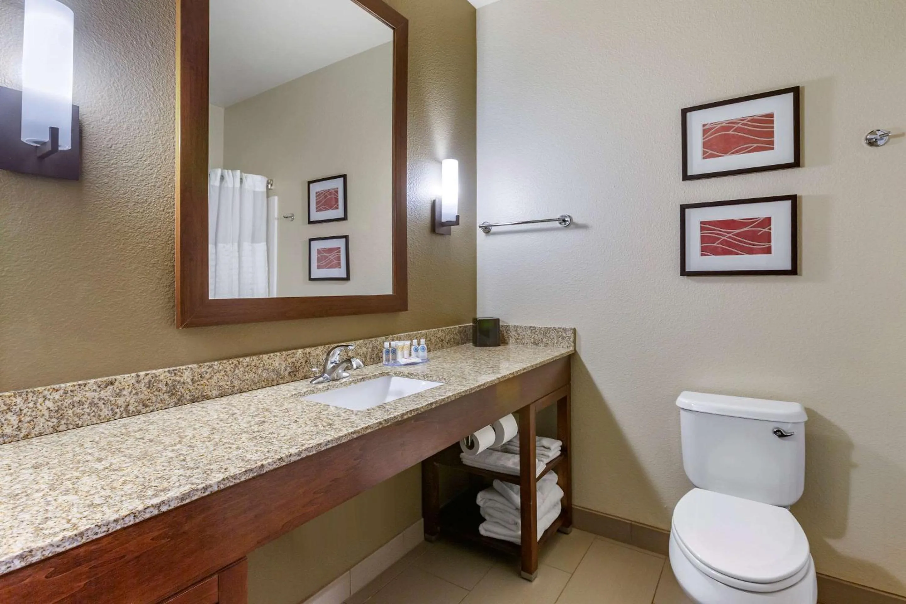 Bathroom in Comfort Inn & Suites Near Mt Rushmore