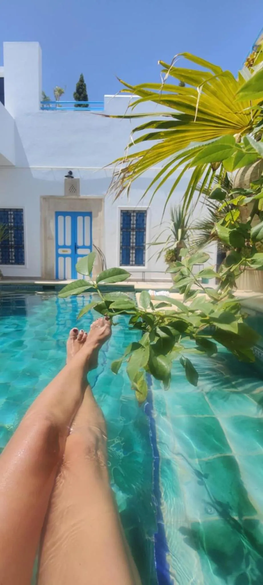 Pool view in Dar R'Bat, Maison d'Hôtes de charme