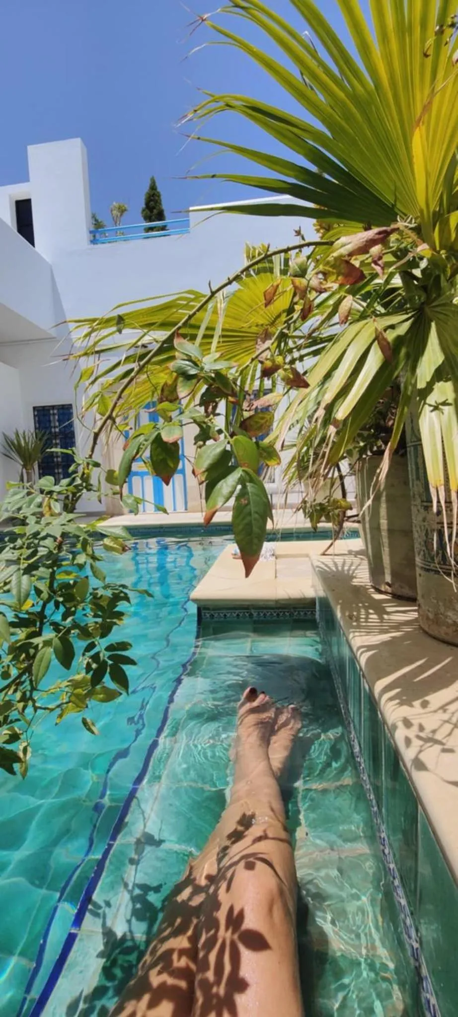 Pool view in Dar R'Bat, Maison d'Hôtes de charme