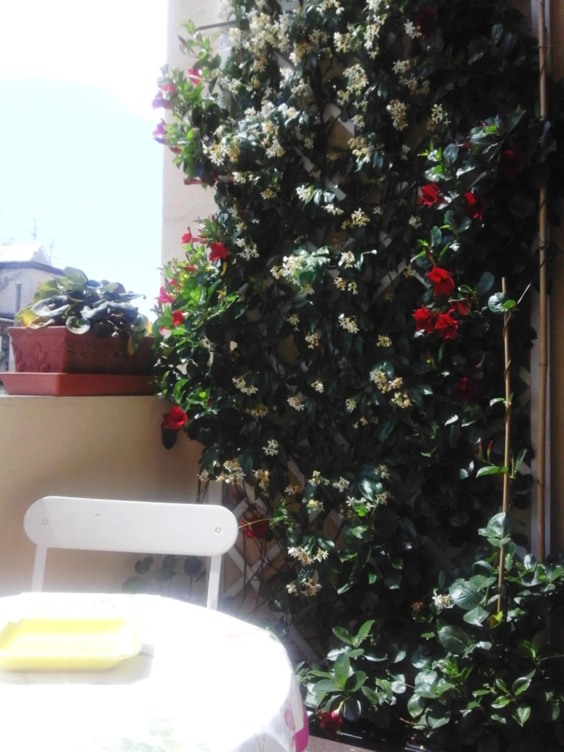Balcony/Terrace in San Marco Suite Center