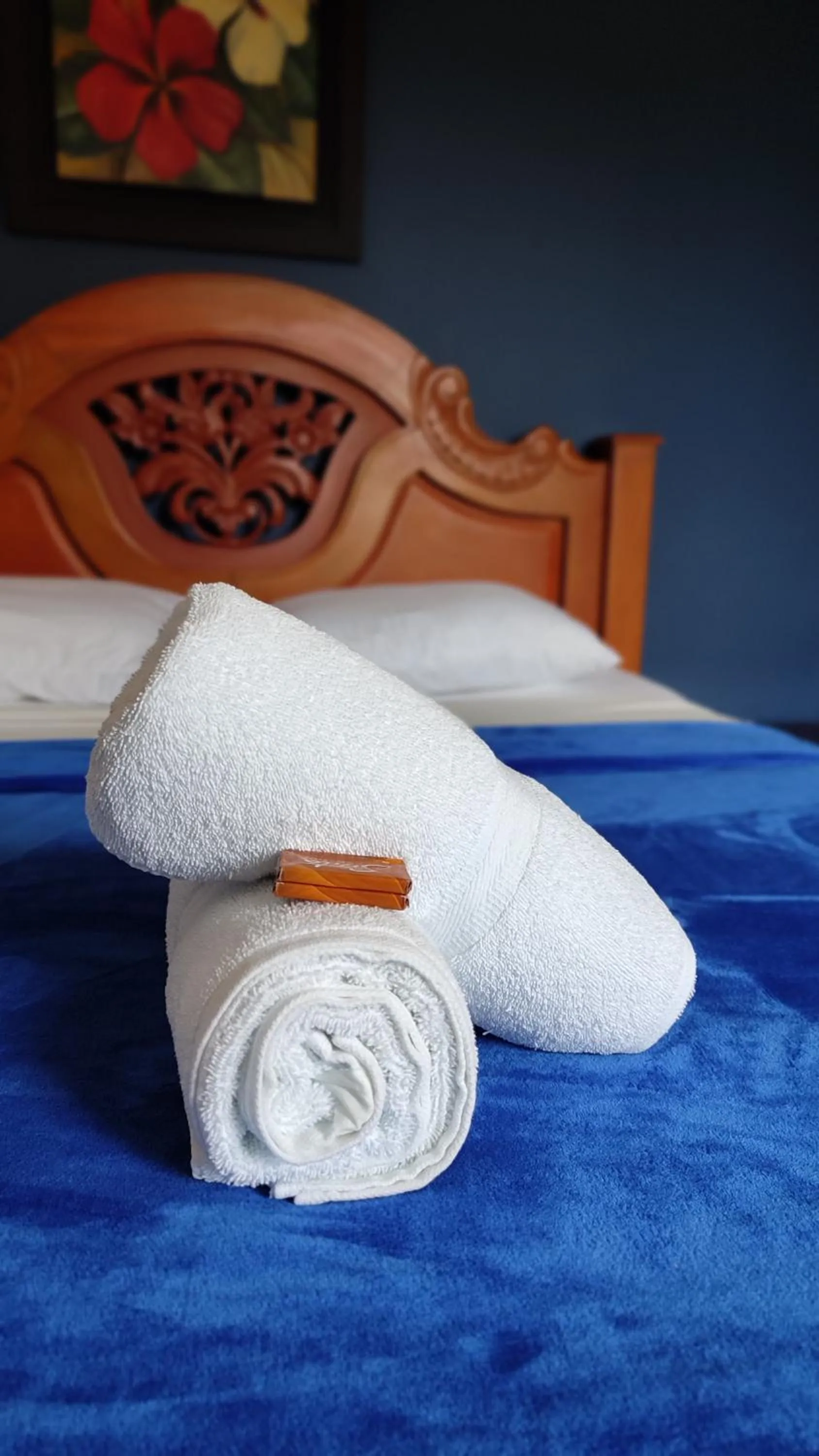 Bed in Hotel Dorado BAQ