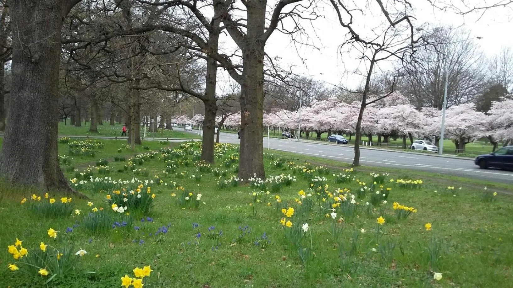 Nearby landmark in Jan's Boutique B & B Suite