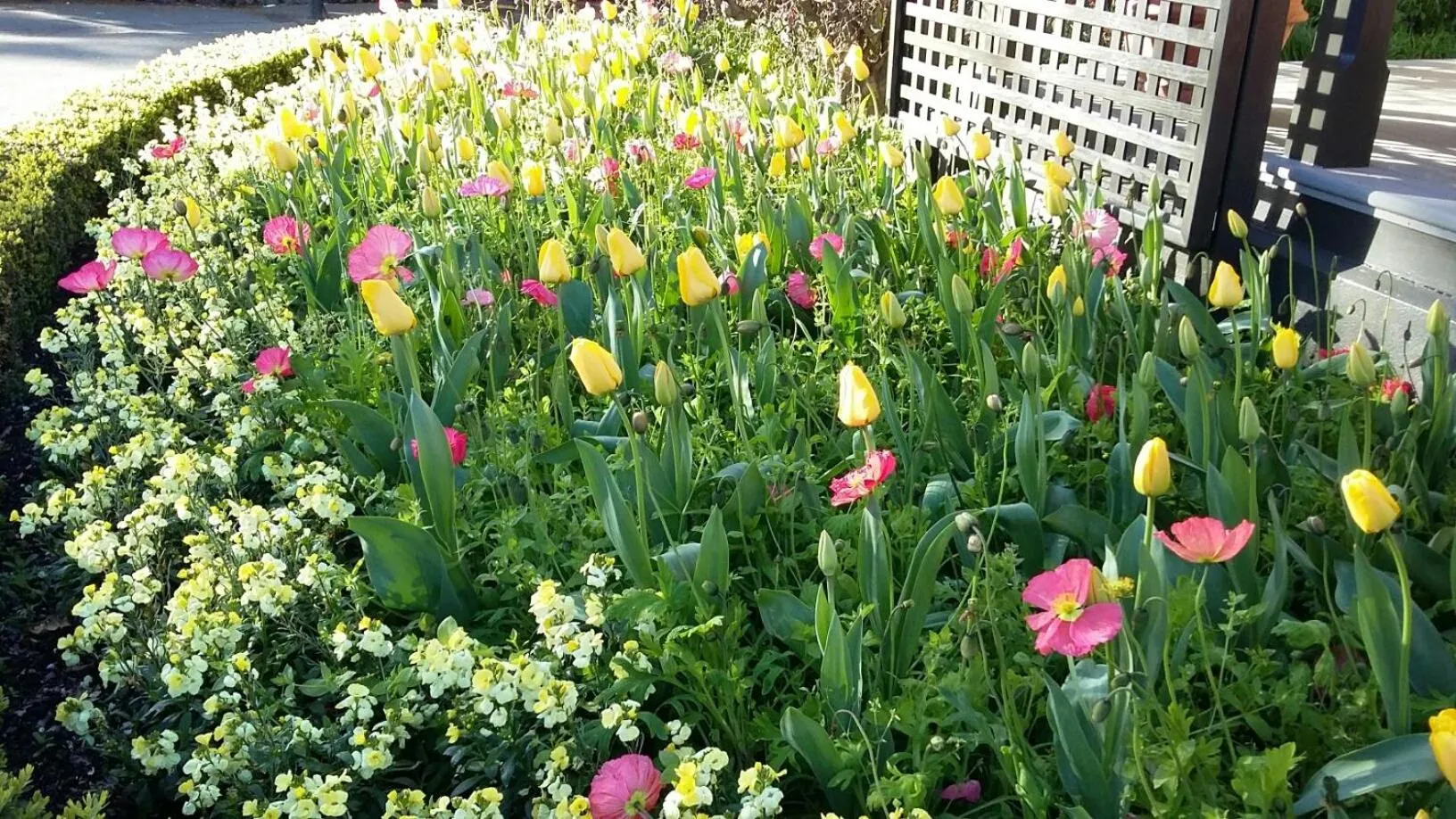 Neighbourhood in Jan's Boutique B & B Suite