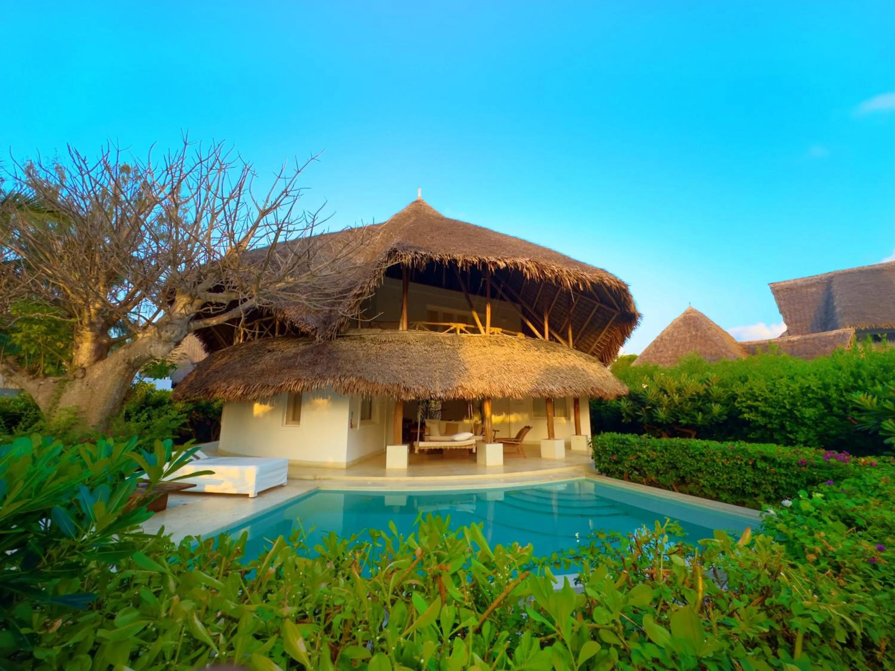 Garden view in The Kasa Malindi