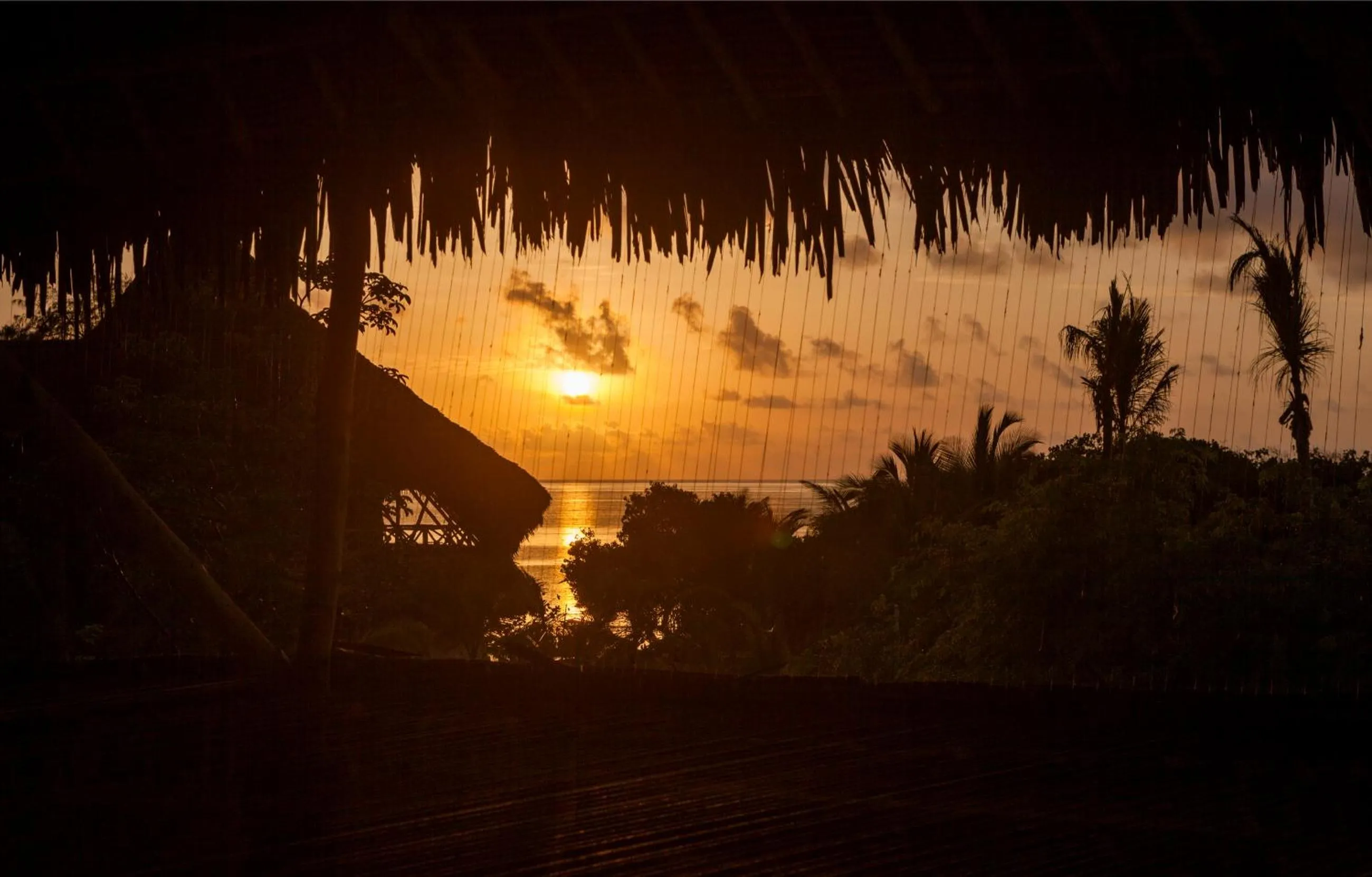 Other in The Kasa Malindi