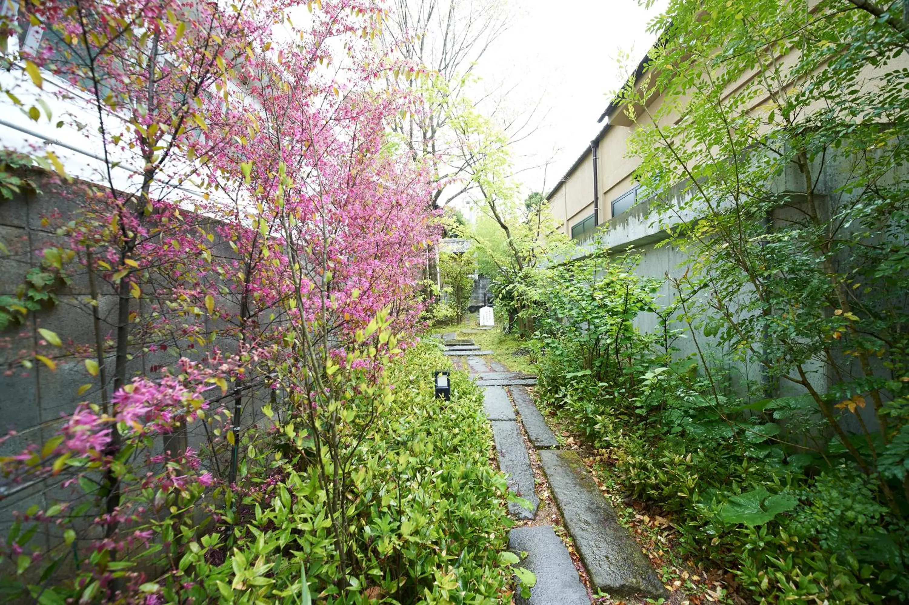 Garden in Hotel Kazahaya