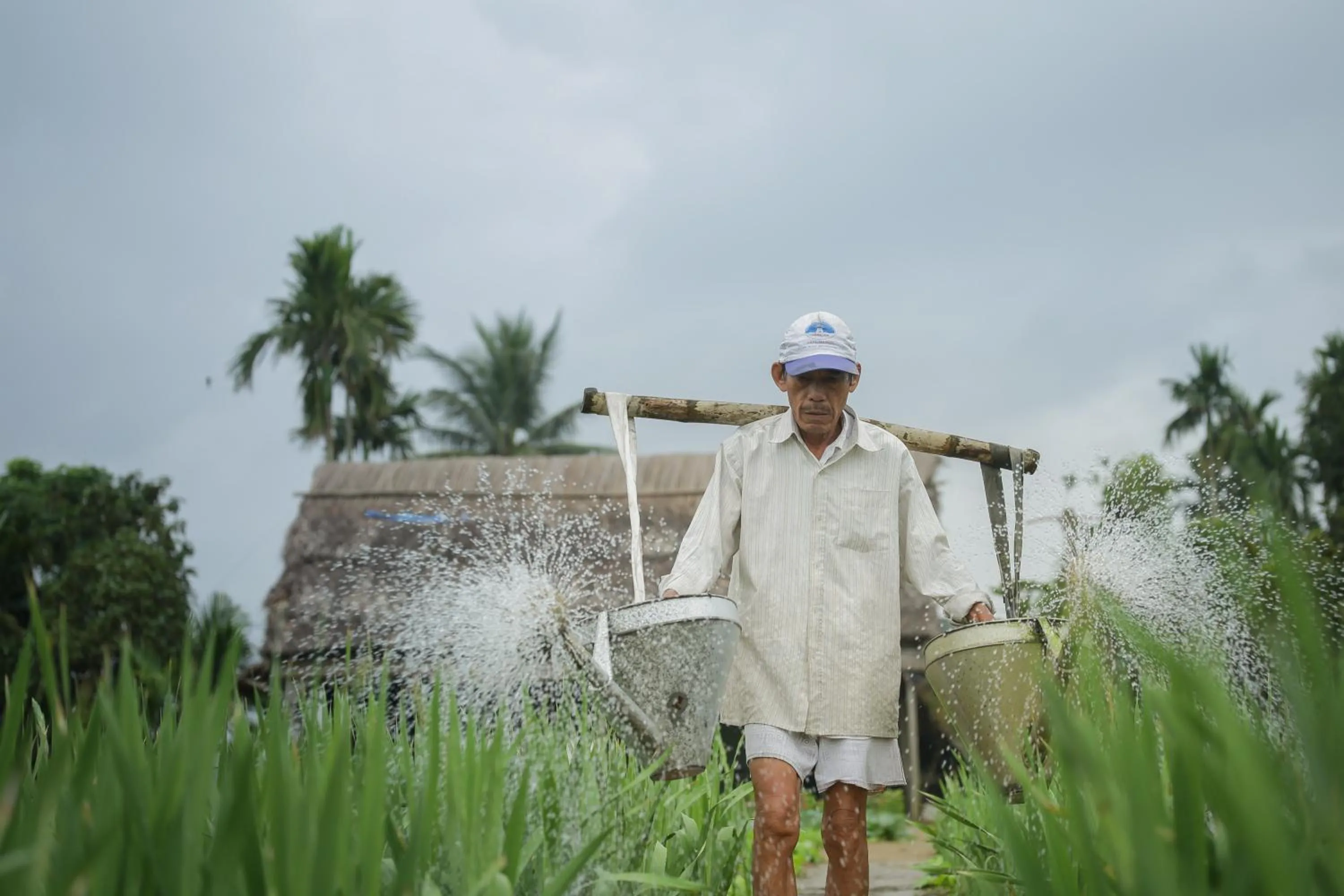 People in Chez Xuân ở Hội An - Rooms & more