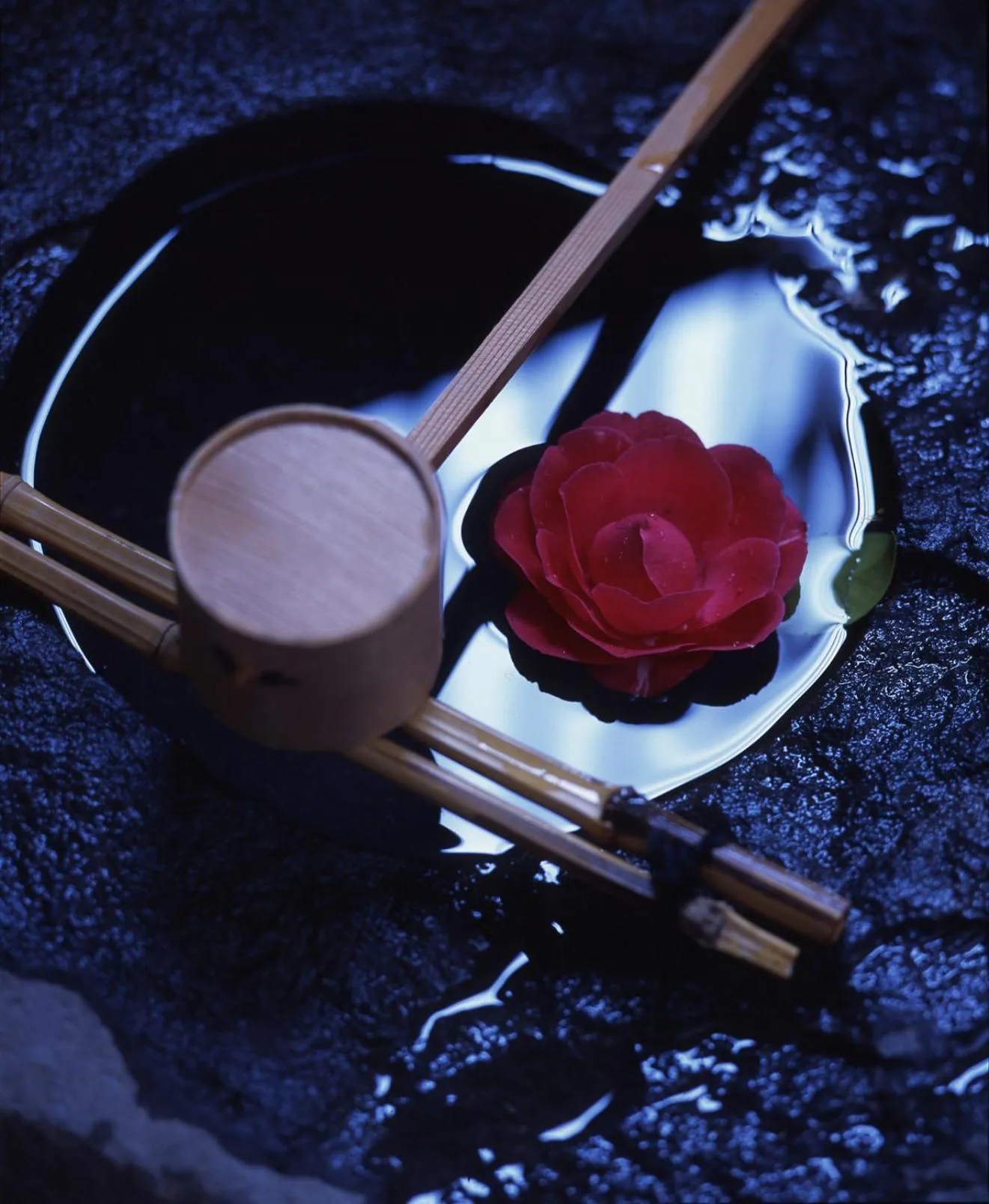 Spring in Tsubakikan