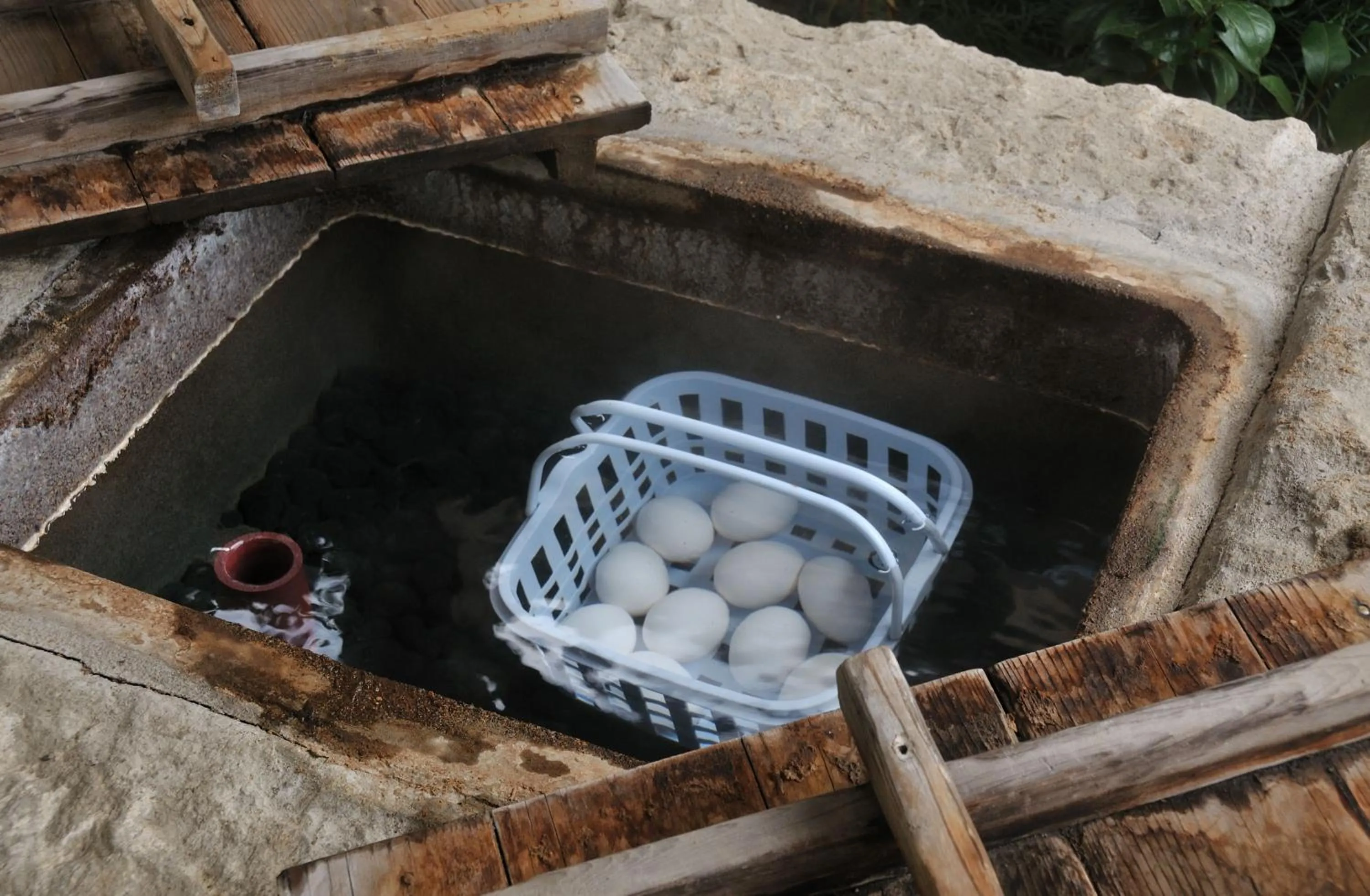 Garden in Tsubakikan