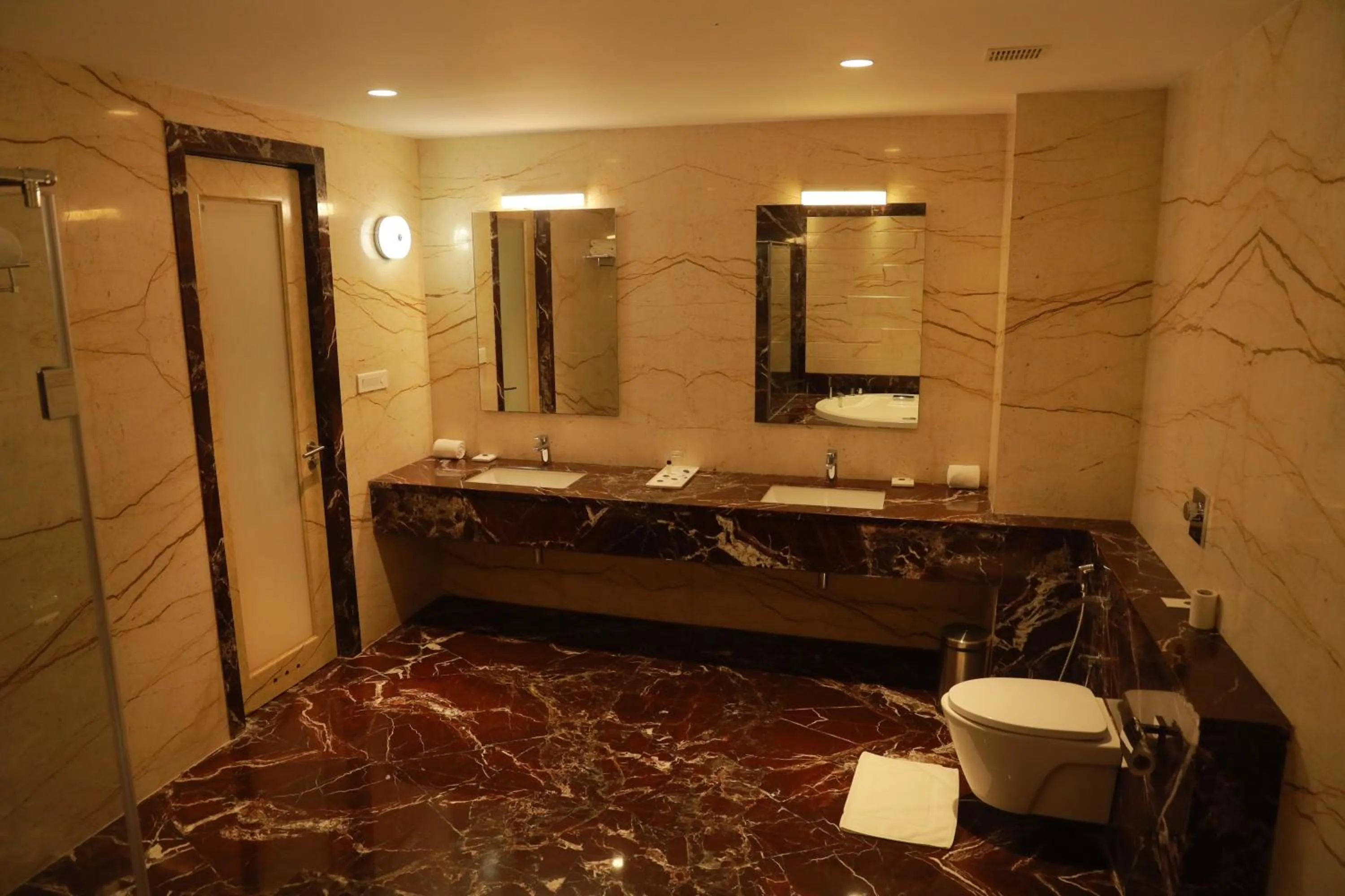 Bathroom in CJ Pallazzio,Salem